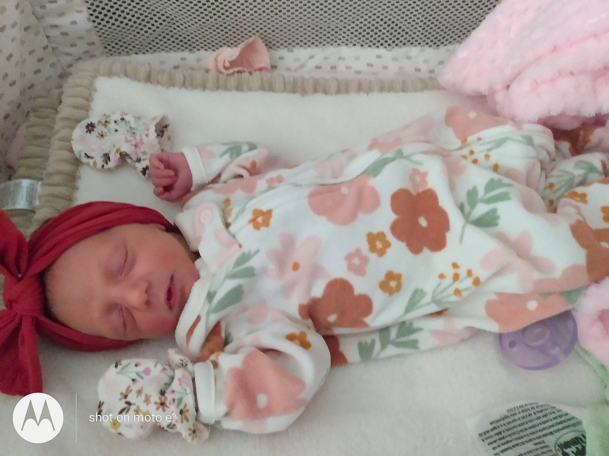 Alexis Rose joined the competition — help win amazing prizes! art, baby, baby_sleeping, baby_toddler_clothing, bedding, bedtime, child, comfort, creative_arts, flower, linens, pattern, peach, person, petal, pink, product, room, rose, sleeve