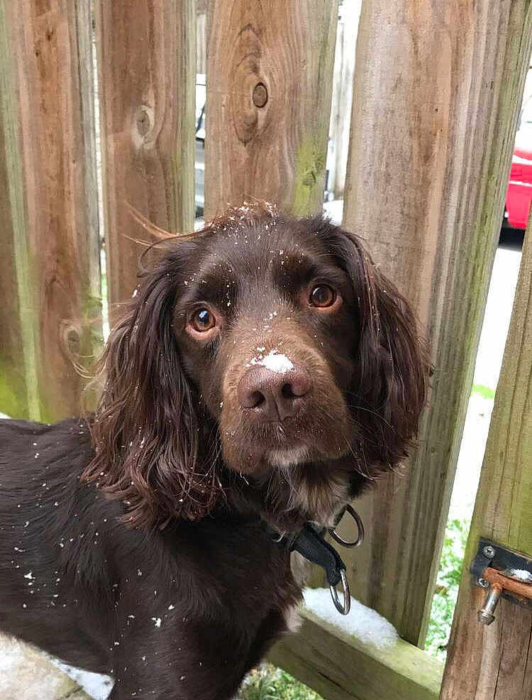 Bobby
