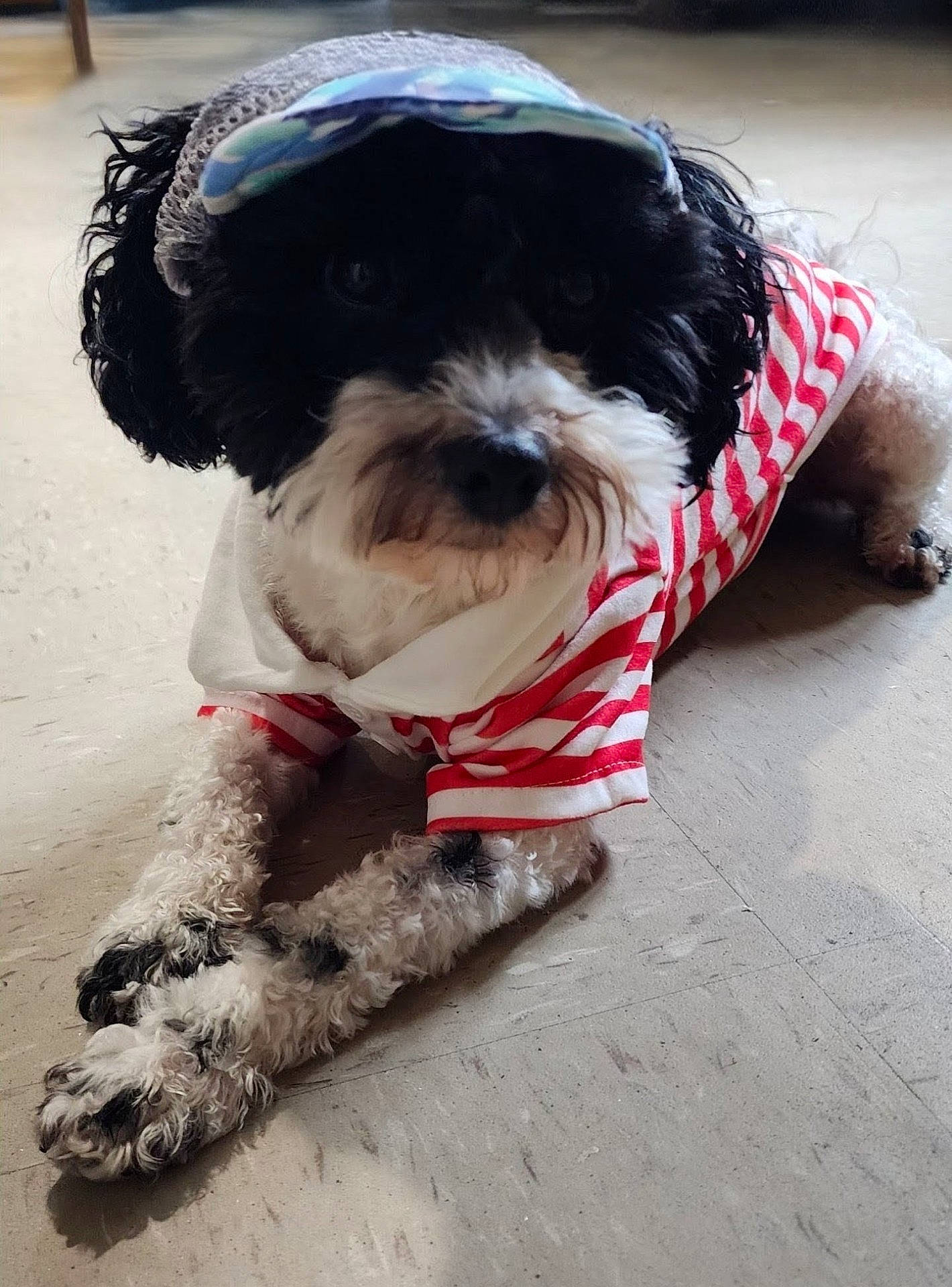 Snoopy