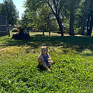 Natalie is registered to the contest to win money with this photo: child, toddler, baby, sitting, grass, backyard, outdoor, trees, sunlight, nature, garden, clover, tree_stump, fence, woodland, portrait, denim_overalls, hair_bun, daylight, residential_area