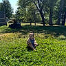 child, toddler, baby, sitting, grass, backyard, outdoor, trees, sunlight, nature, garden, clover, tree_stump, fence, woodland, portrait, denim_overalls, hair_bun, daylight, residential_area
