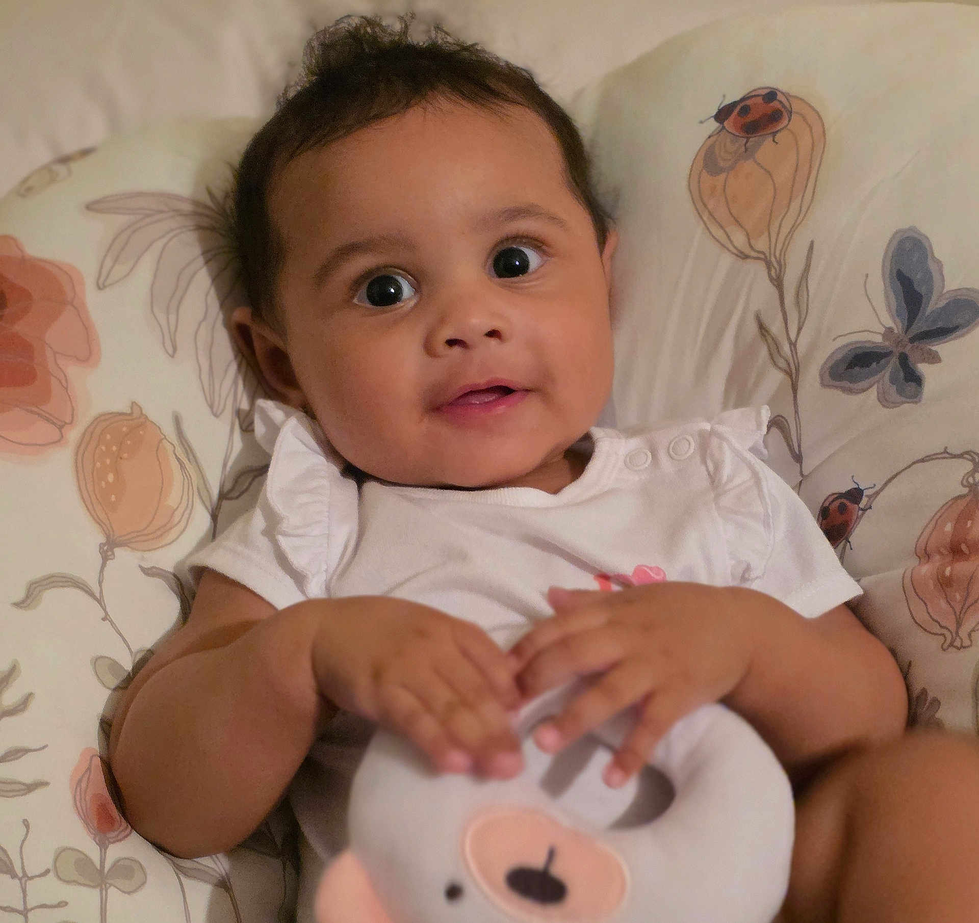 Nayelie joined the competition — help win amazing prizes! baby, infant, toy, bear, cushion, ladybug, butterfly, white_clothing, hand, face, eyes, mouth, skin, hair, indoor, child, cute, portrait, smiling, soft_toy