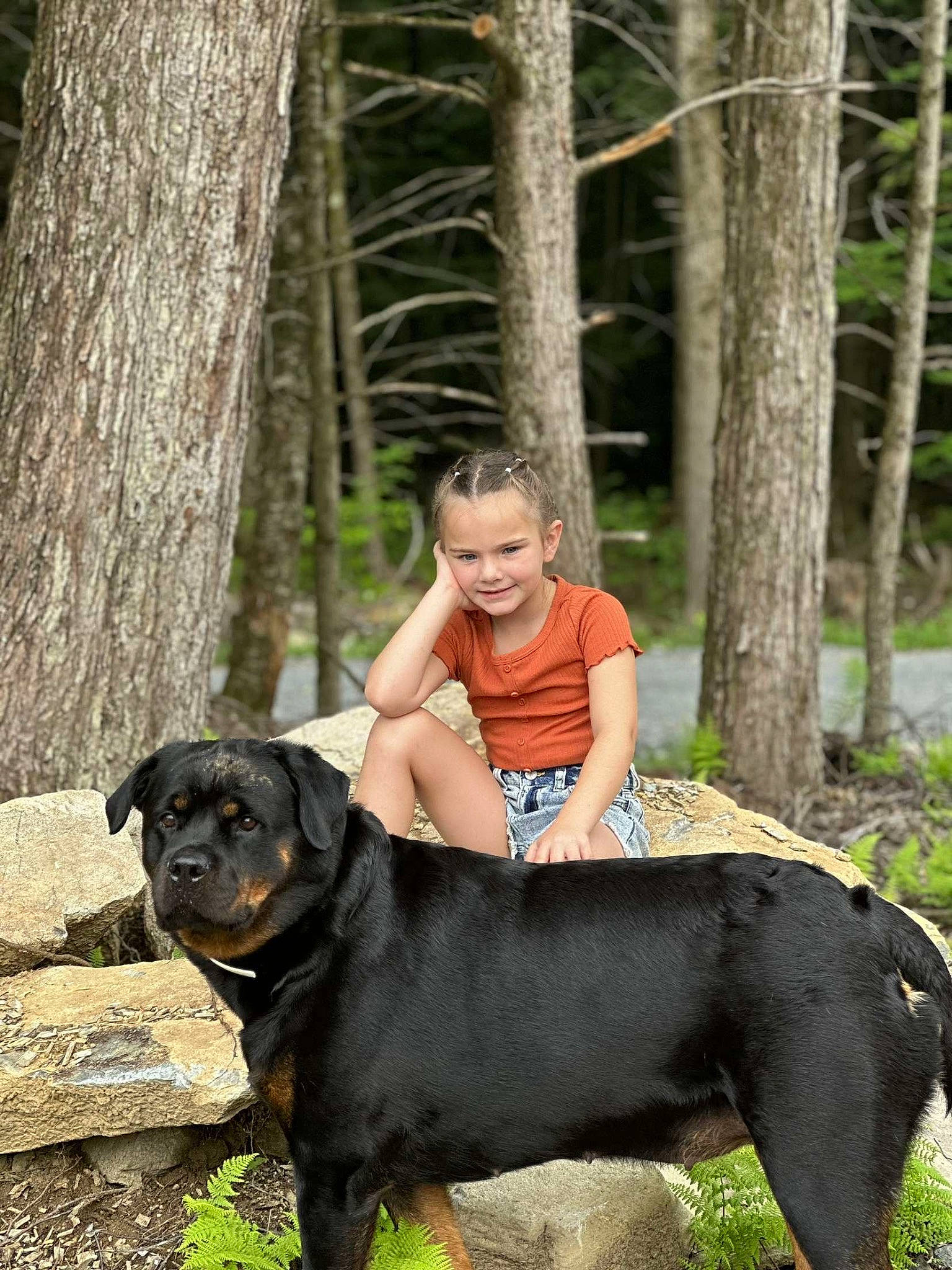 Aubrianna joined the competition — help win amazing prizes! canidae, carnivore, collar, companion_dog, dog, dog_breed, grass, guard_dog, happy, joy, mammal, person, plant, smile, snout, sporting_group, t_shirt, tree, trunk, vertebrate