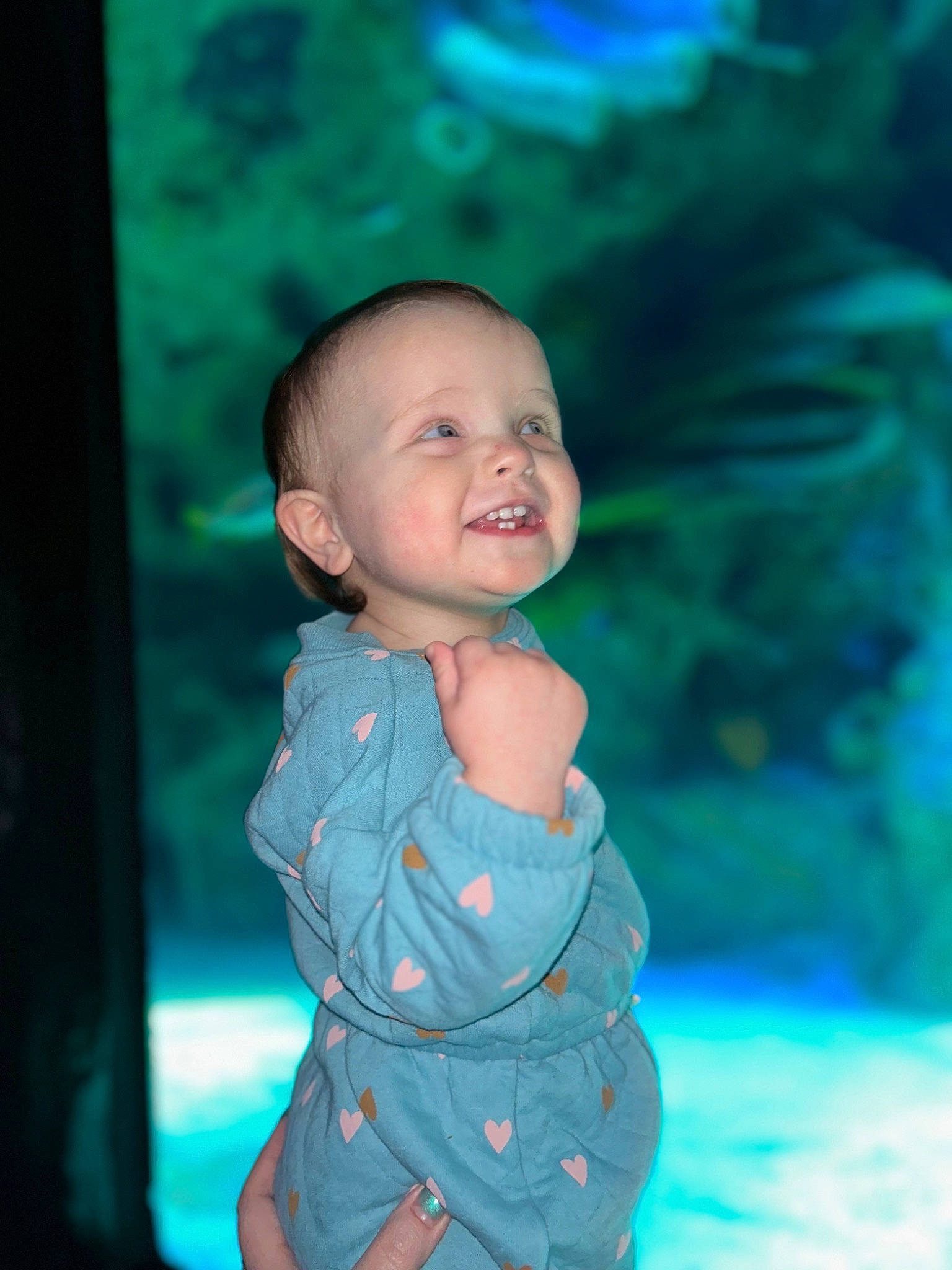 Haisley joined the competition — help win amazing prizes! aqua, azure, baby, baby_toddler_clothing, blue, child, electric_blue, flash_photography, fun, grass, happy, iris, leisure, people_in_nature, person, sitting, sky, smile, toddler, tree