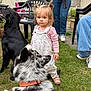 backyard, black_dog, casual, child, collar, curious, dog, footwear, grass, grass_lawn, jeans, outdoor, people, person, pet, pigtails, plastic_chair, sneakers, spotted_dog, toddler