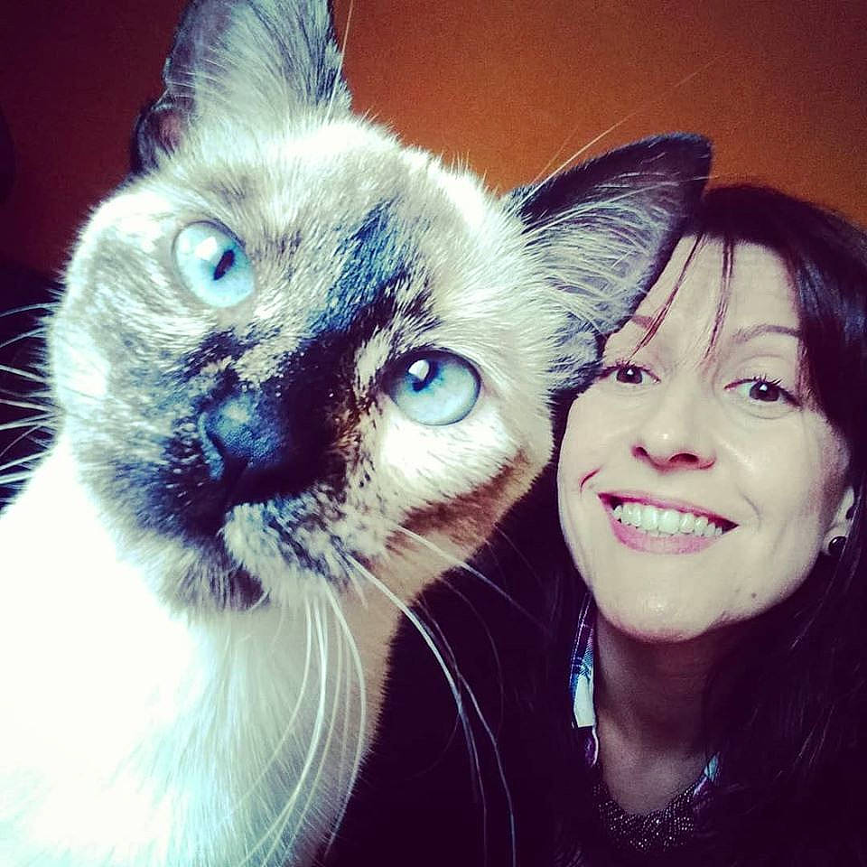 Sansa a rejoint le concours — aidez-le/la à gagner de superbes lots ! beauty, cat, cheek, ear, eye, face, facial_expression, felidae, friendship, hair, head, iris, nose, organ, photography, selfie, small_to_medium_sized_cats, smile, tonkinese, whiskers