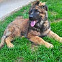 Jengo participe au concours pour gagner de l'argent avec cette photo :