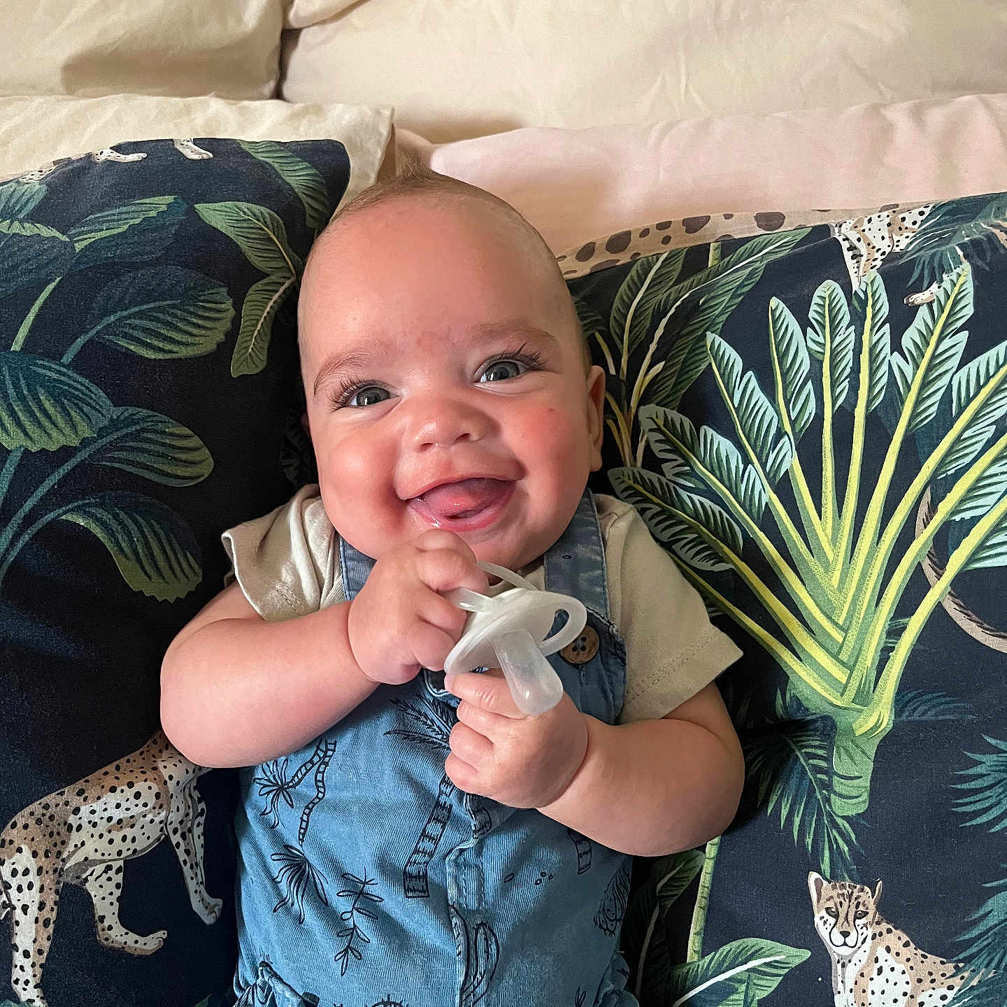 Kayse joined the competition — help win amazing prizes! animal, baby, bodypart, canine, clothing, couch, cushion, face, finger, furniture, hand, happy, head, homedecor, panther, pants, person, photography, portrait, smile