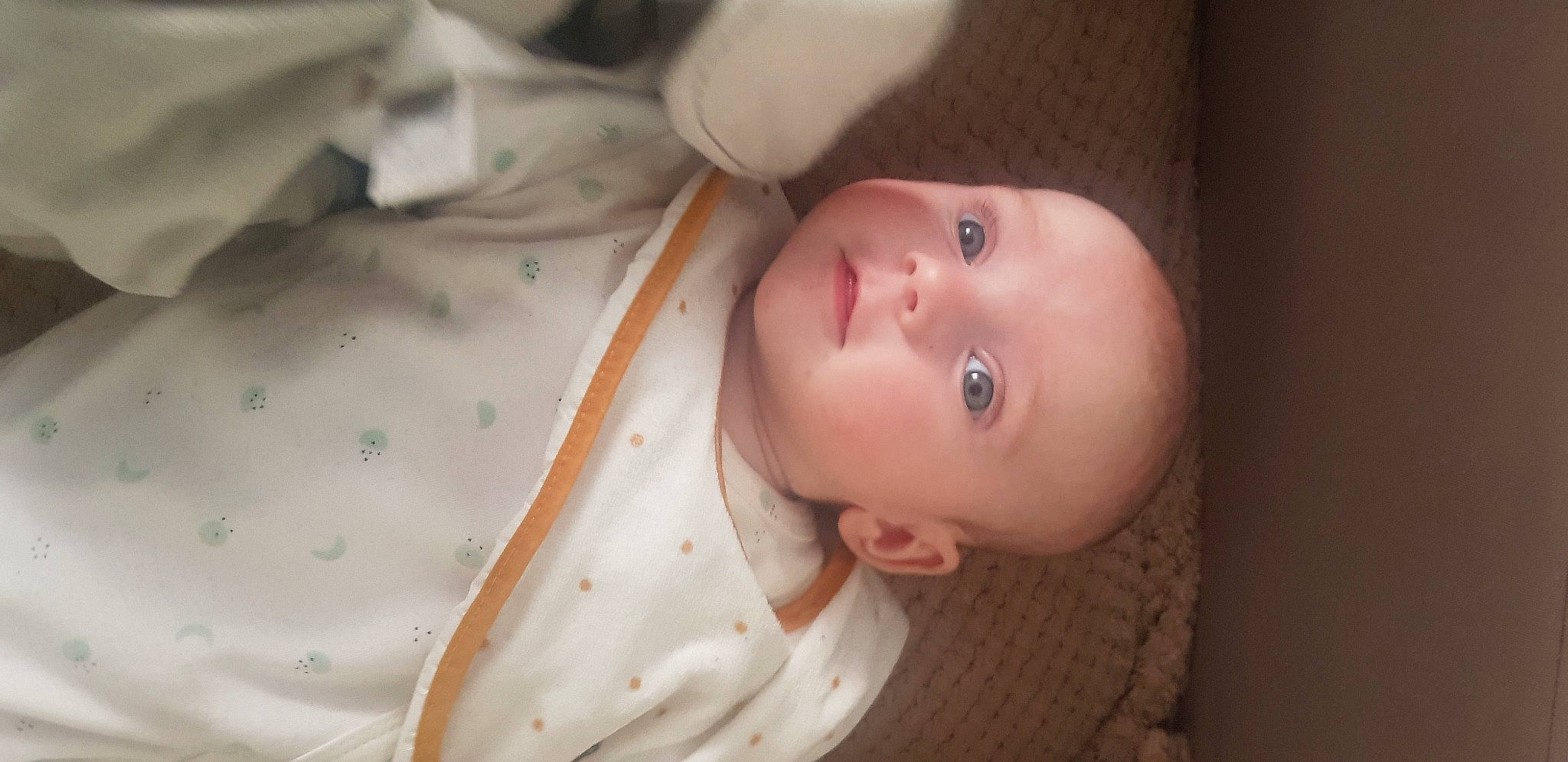 Ileana participe au concours pour gagner de l'argent avec cette photo : arm, baby, baby_toddler_clothing, cheek, chin, ear, eye, eyebrow, eyelash, face, head, human_body, iris, lip, mouth, nose, person, skin, sleeve, toddler