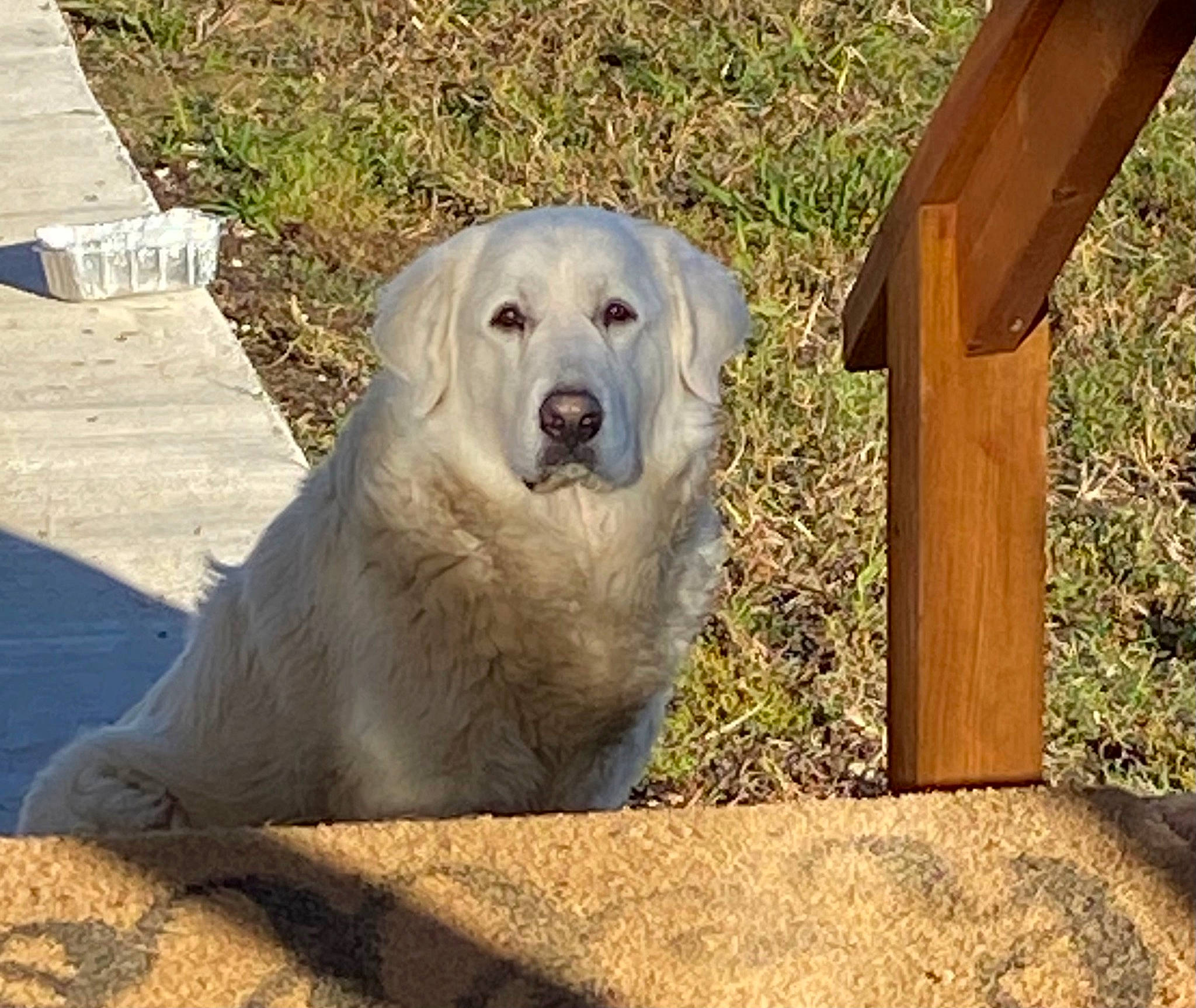 Mia