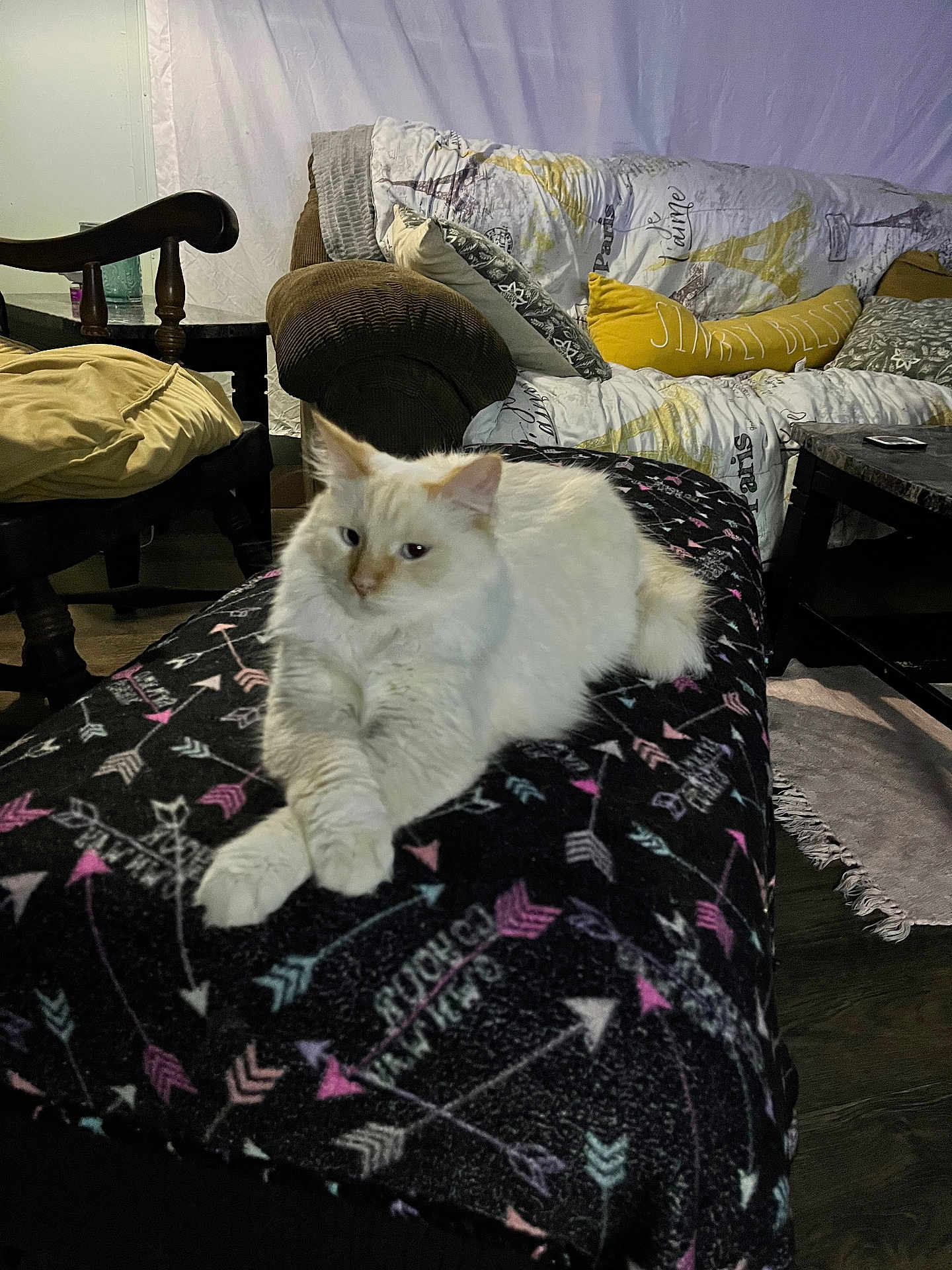 Leo