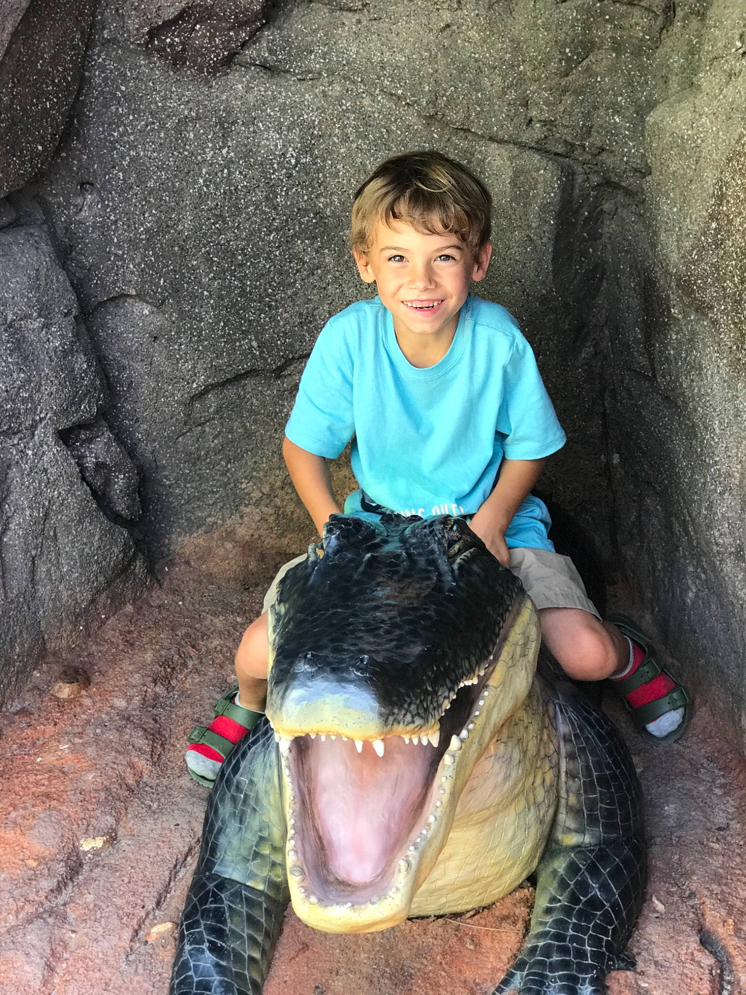 Allan joined the competition — help win amazing prizes! adaptation, child, eye, fun, happy, head, human_body, jaw, joy, mammal, mouth, organism, person, photograph, plant, recreation, reptile, shorts, smile, t_shirt