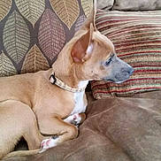 Cheech joined the competition — help win amazing prizes!
