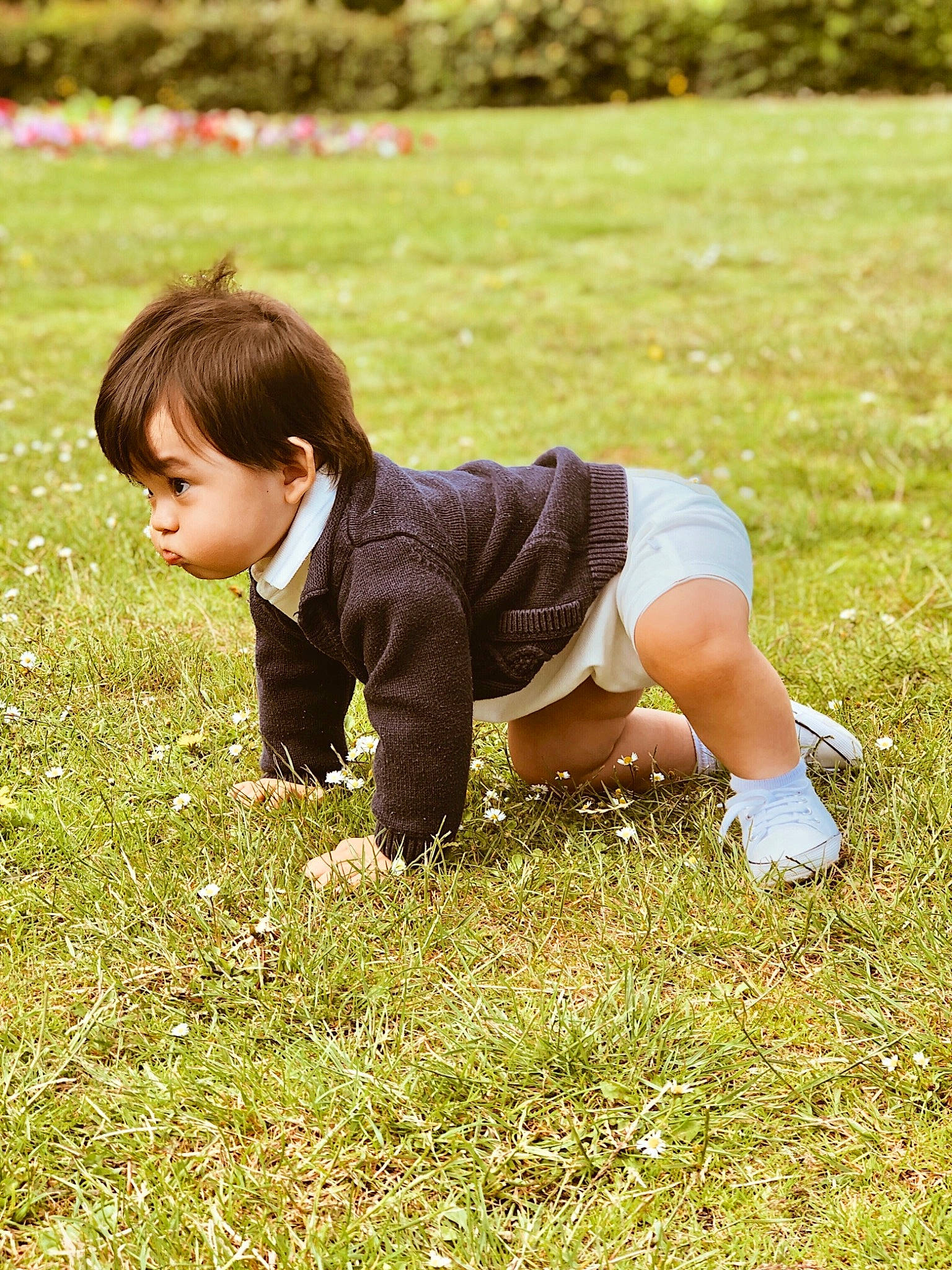 Zechariah joined the competition — help win amazing prizes! child, grass, grassland, happy, lawn, meadow, people_in_nature, person, play, sitting, toddler