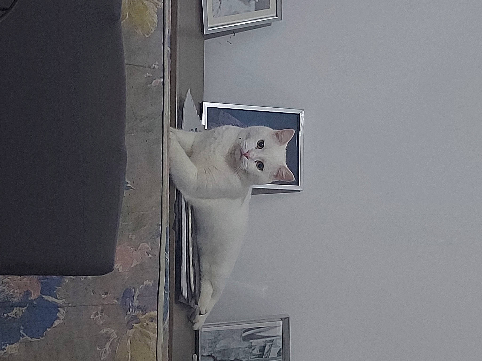 Persée participe au concours pour gagner de l'argent avec cette photo : aluminium, art, ceiling, door, door_handle, font, gas, grey, home_door, machine, metal, plaster, rectangle, room, sculpture, still_life_photography, visual_arts, wood