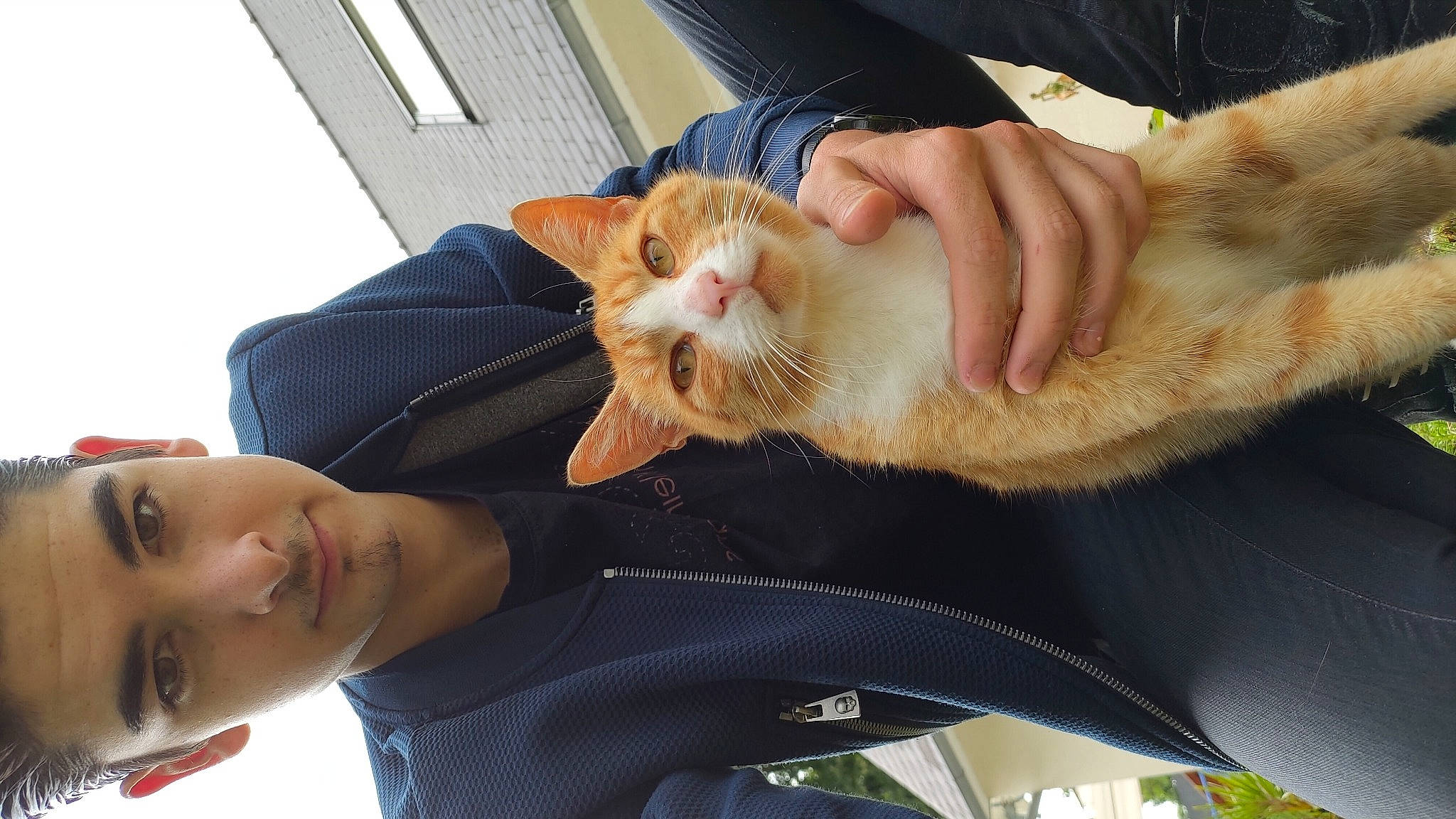 Never a rejoint le concours — aidez-le/la à gagner de superbes lots ! carnivore, cat, fawn, felidae, small_to_medium_sized_cats, whiskers