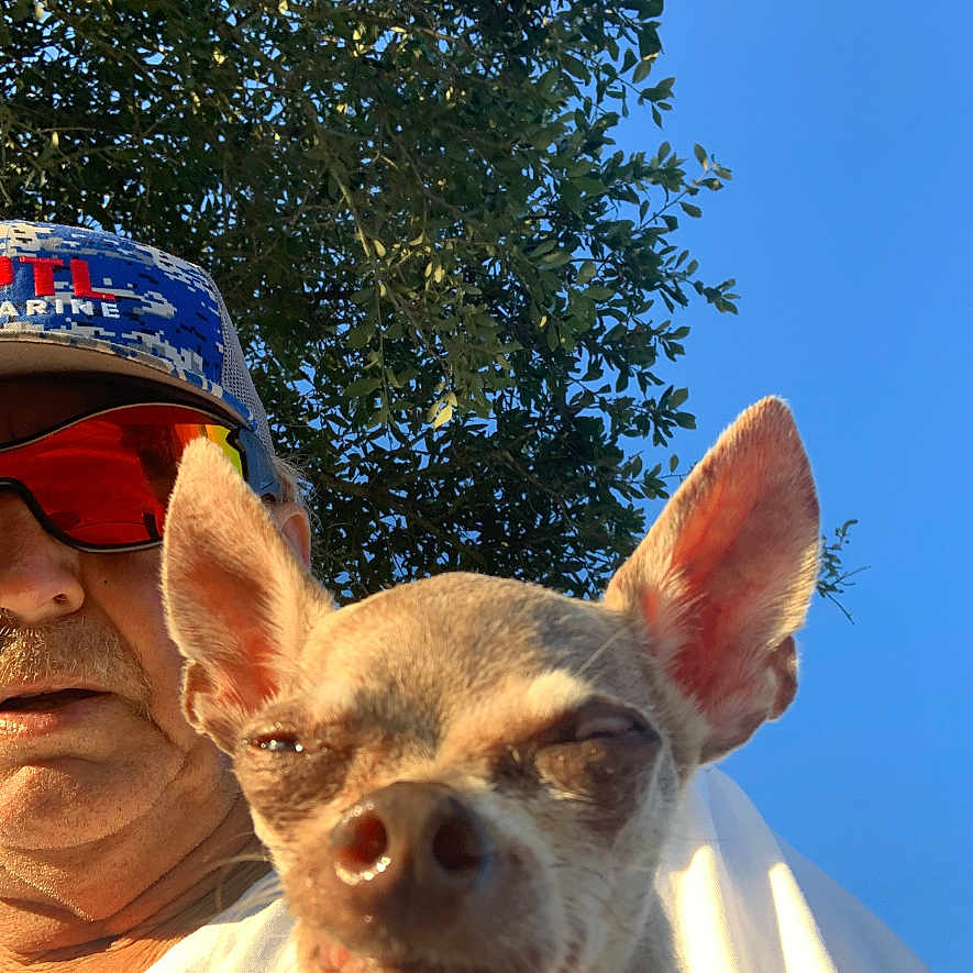 Dixie Sandlin is registered to the contest to win money with this photo: animal, casual, chihuahua, close_up, daylight, dog, ears, expression, face, hat, human, man, nature, outdoor, pet, portrait, sky, sunglasses, sunlight, tree