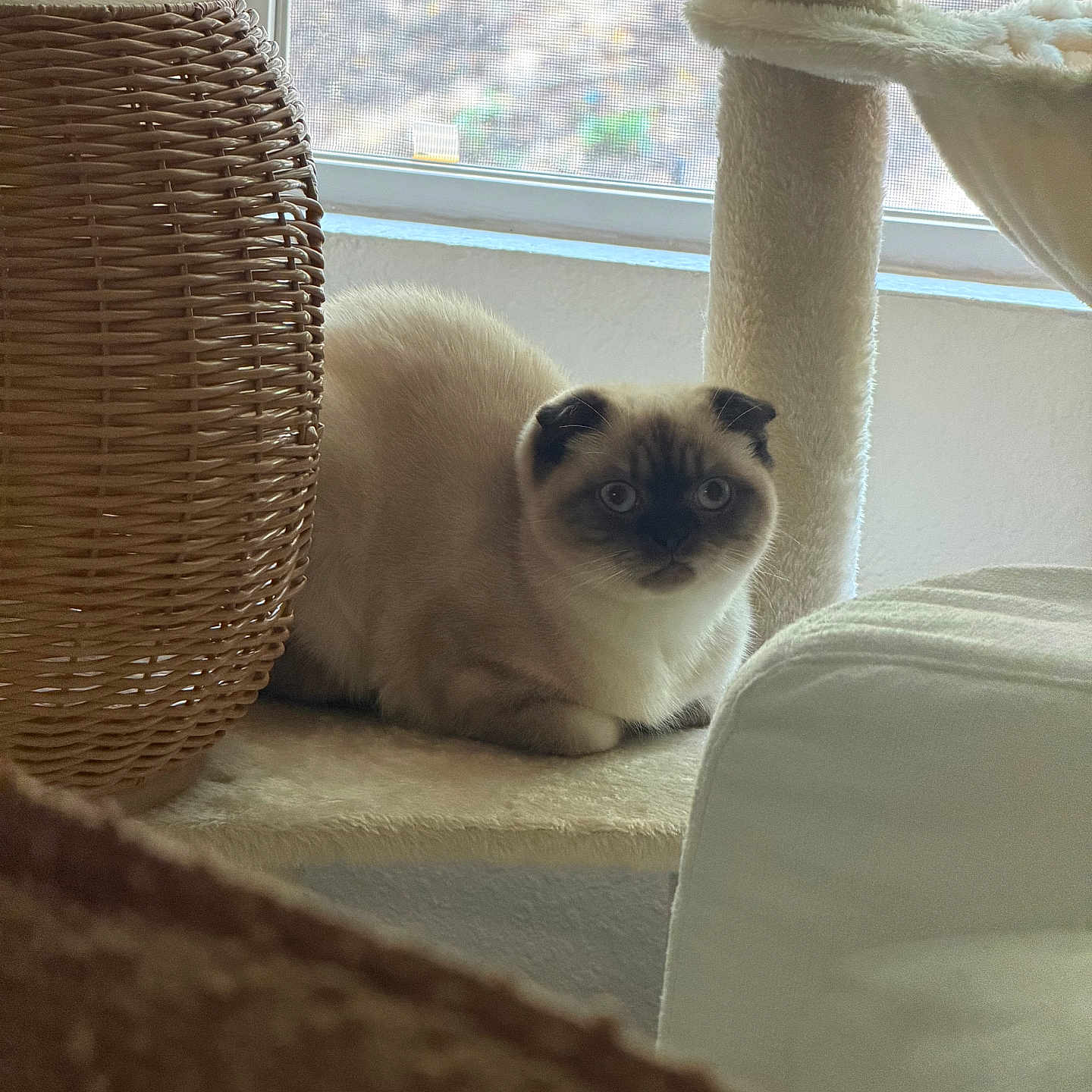 Casper