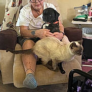Booter is registered to the contest to win money with this photo: woman, person, puppy, dog, cat, siamese_cat, black_dog, pet, animal, armchair, blanket, indoors, living_room, sitting, glasses, white_shirt, collar, orange_collar, wood_floor, home