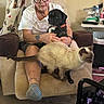 woman, person, puppy, dog, cat, siamese_cat, black_dog, pet, animal, armchair, blanket, indoors, living_room, sitting, glasses, white_shirt, collar, orange_collar, wood_floor, home