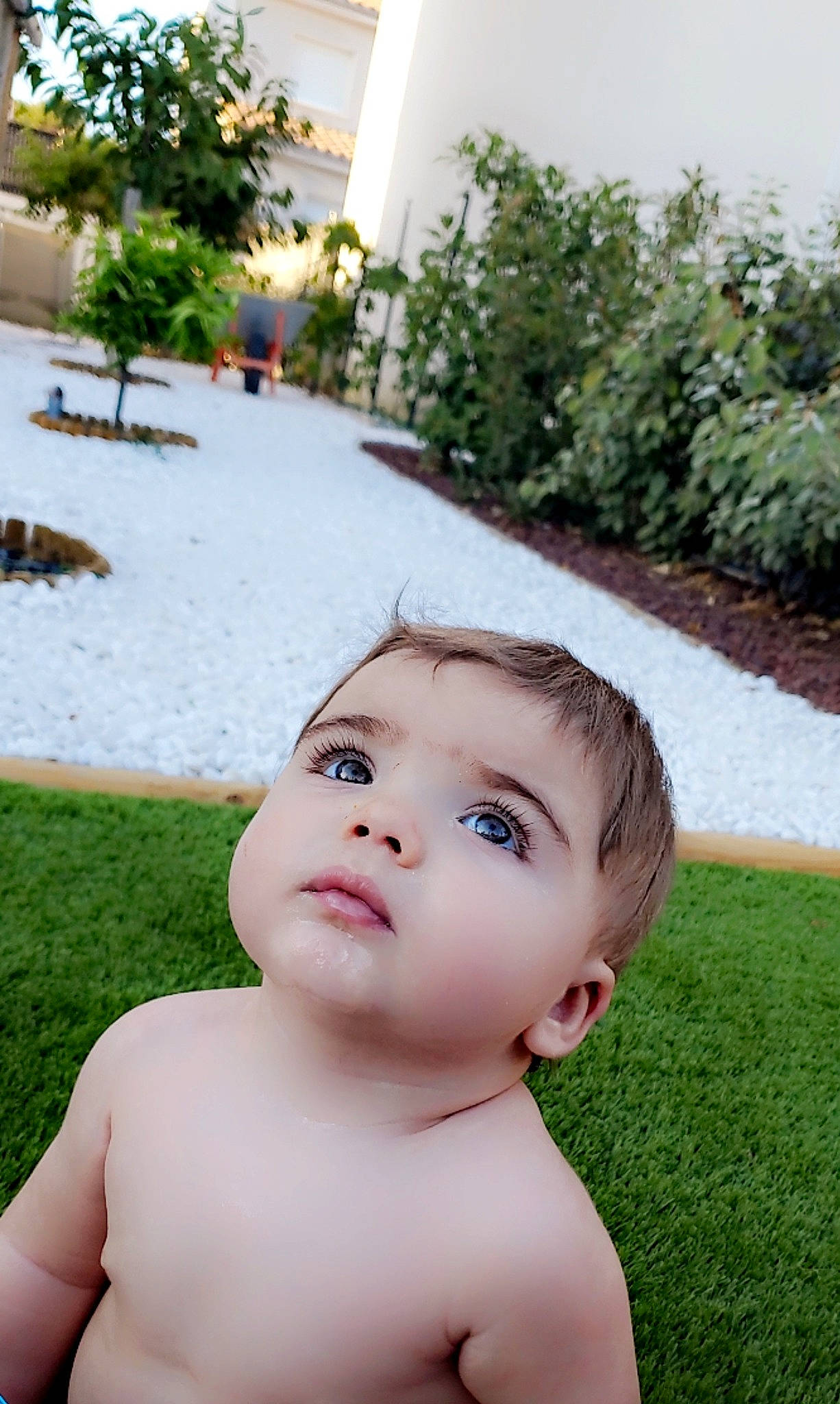 Mateo participe au concours pour gagner de l'argent avec cette photo : baby, beauty, cheek, chest, child, fun, garden, grass, happy, leisure, lip, nose, people_in_nature, person, plant, shrub, skin, summer, toddler, tree