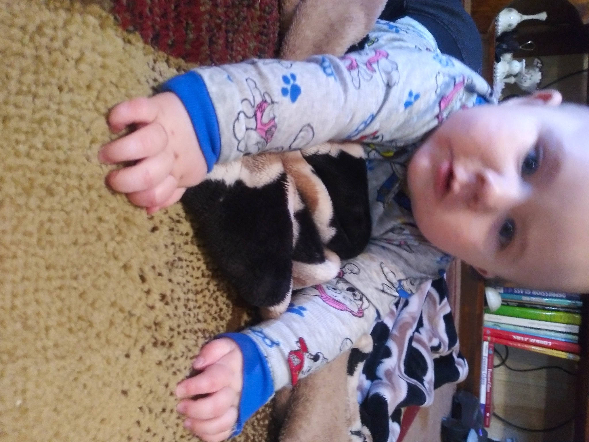 Cayde joined the competition — help win amazing prizes! baby, canidae, child, companion_dog, non_sporting_group, person, play, puppy, sporting_group, toddler