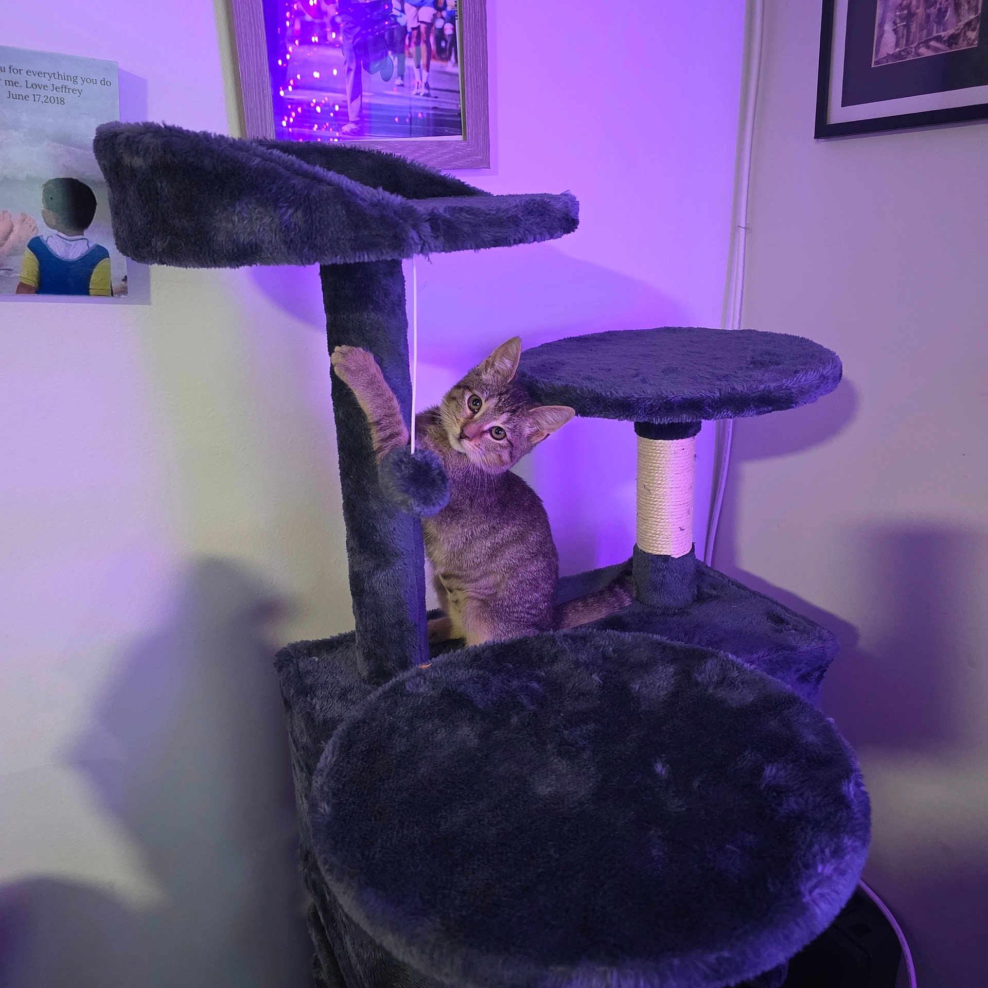 Luna