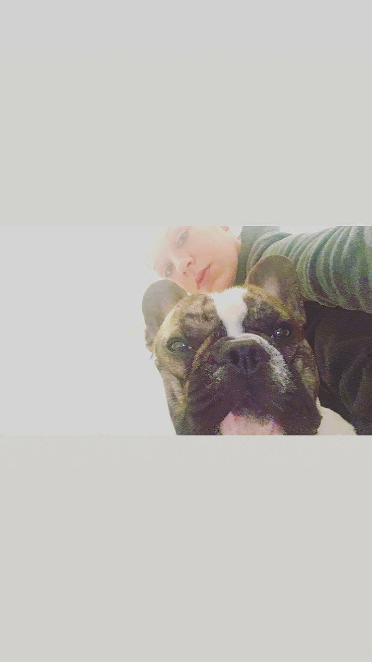 Only a rejoint le concours — aidez-le/la à gagner de superbes lots ! australian_bulldog, british_bulldogs, bulldog, canidae, carnivore, companion_dog, dog, dog_breed, fawn, french_bulldog, non_sporting_group, old_english_bulldog, olde_english_bulldogge, pug, puppy, puppy_love, skin, snout, toy_bulldog, white_english_bulldog