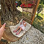 toddler, child, outdoor, swing, wicker, cushion, tree, grass, sidewalk, car, hand, sunlight, summer, footwear, sandals, dress, nature, relaxation, play, park