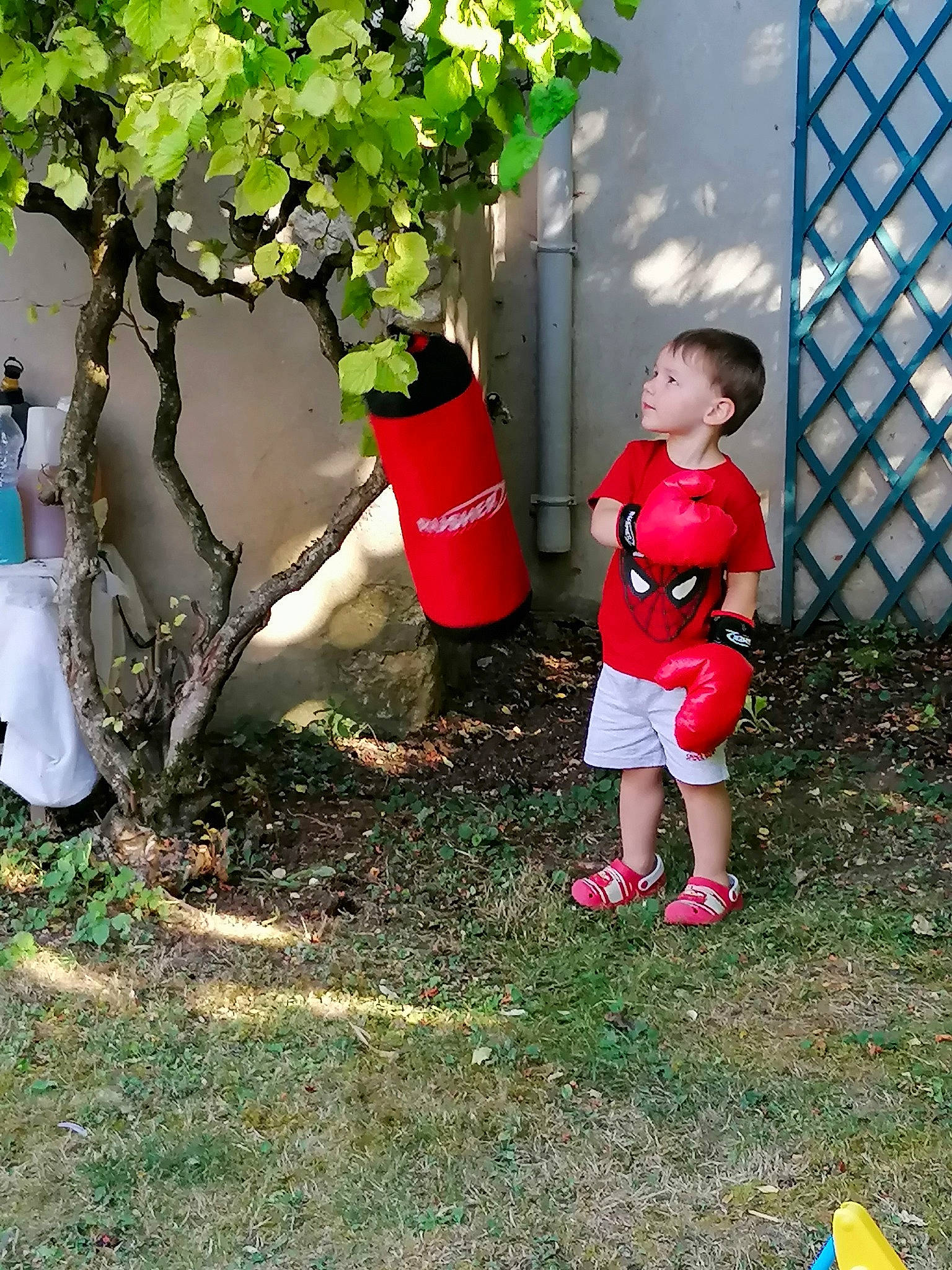 Giovanni participe au concours pour gagner de l'argent avec cette photo : child, flower, garden, person, plant, shrub, tree