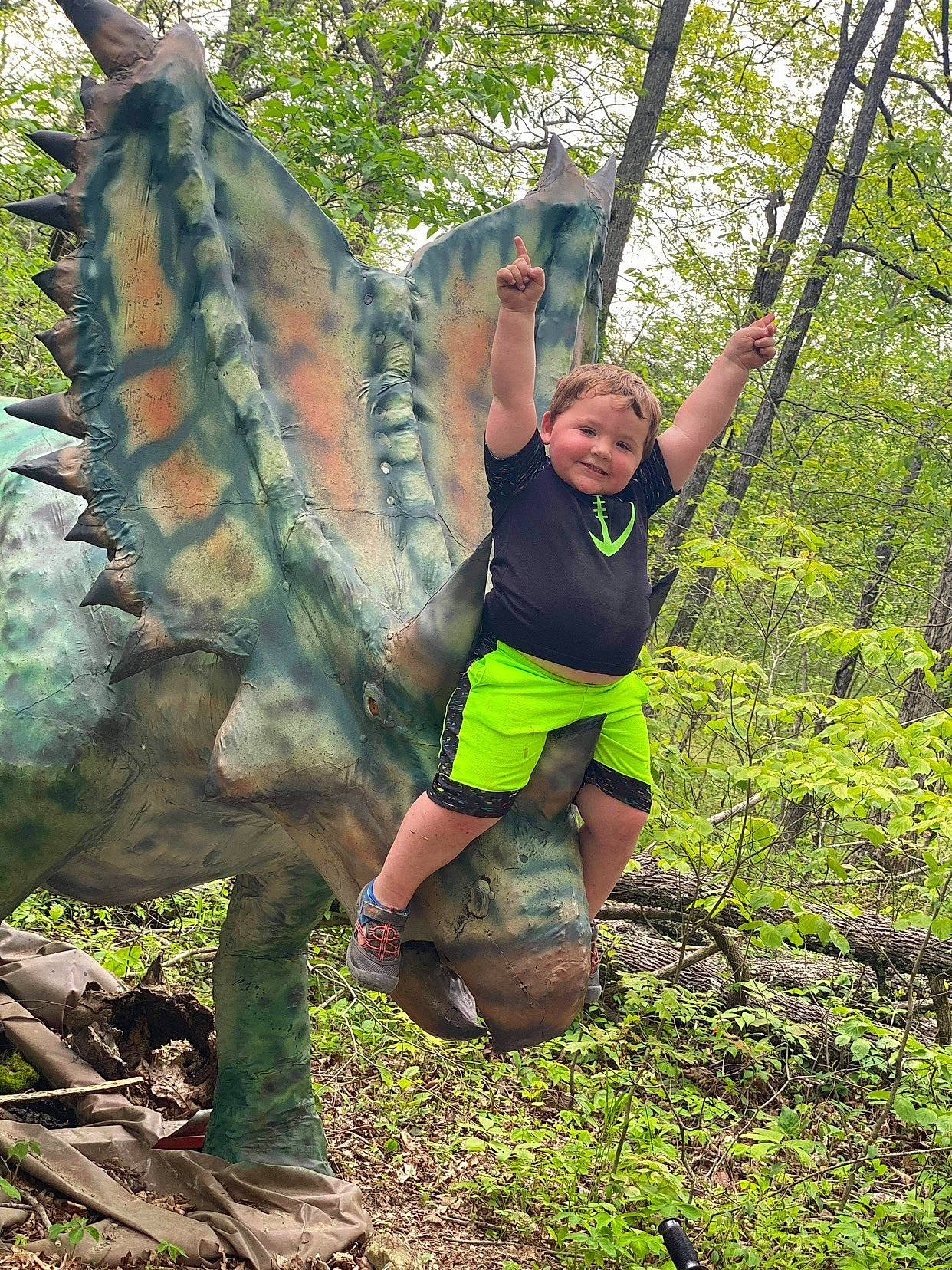 Blayne joined the competition — help win amazing prizes! dinosaur, extinction, footwear, fun, grass, happy, joy, leaf, leisure, organism, outdoor_recreation, people_in_nature, person, plant, recreation, shoe, shorts, smile, terrestrial_plant, tree