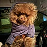 dog, brown_fur, hoodie, clothing, pet, fluffy, cute, indoors, car_interior, hand, portrait, animal, mammal, small_dog, fur, face, eyes, nose, warm, cozy