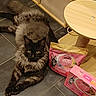 cat, fluffy, black_cat, pet, animal, floor, tile_floor, cat_food, packaging, pink, scratching_post, wooden, furniture, indoor, domestic, pet_food, relaxing, looking, laying_down, eye_contact