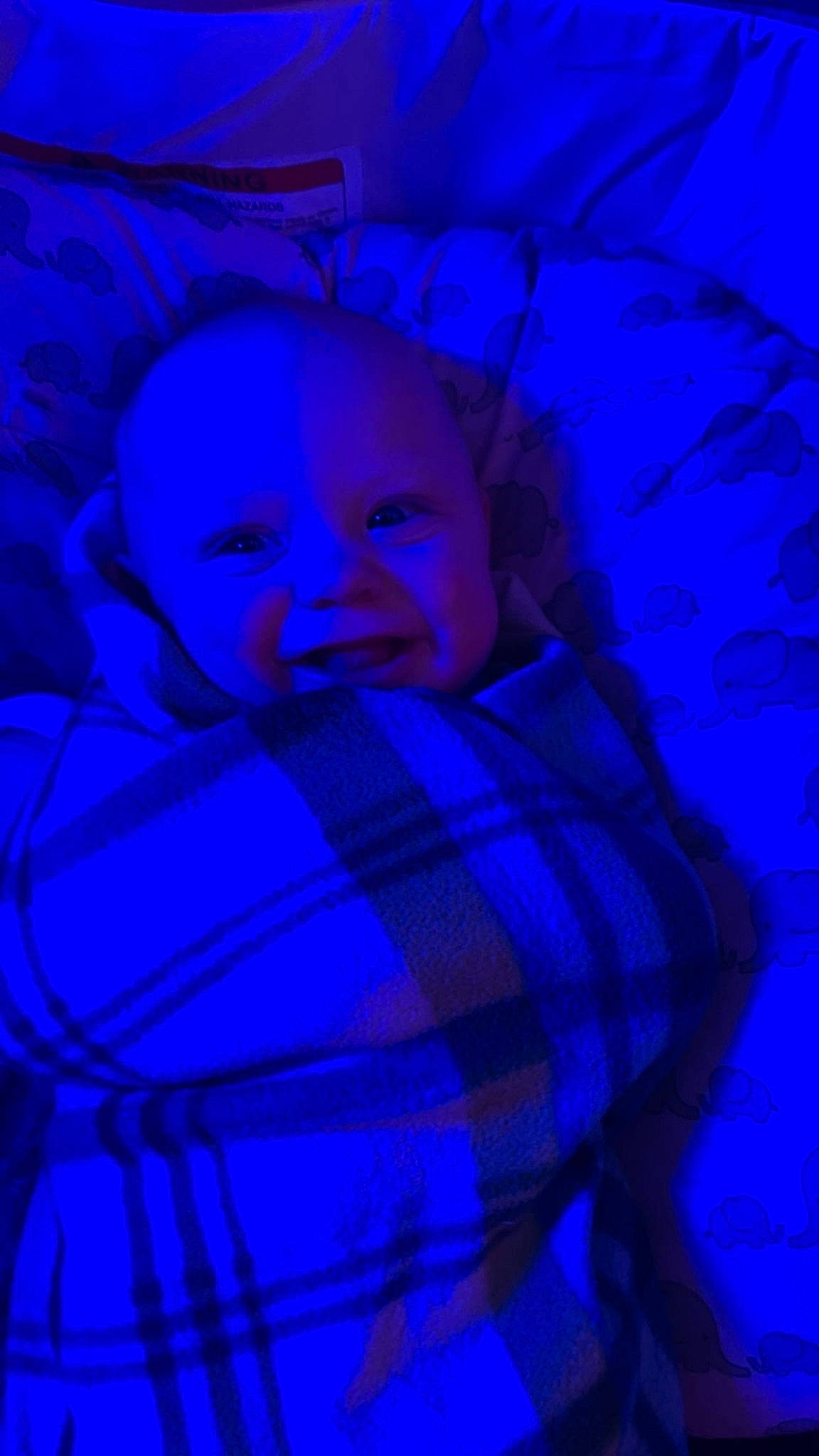 Eleanor is registered to the contest to win money with this photo: azure, baby, blue, child, electric_blue, flash_photography, fun, happy, iris, magenta, pattern, person, pink, plaid, purple, smile, space, tartan, tints_and_shades, toddler