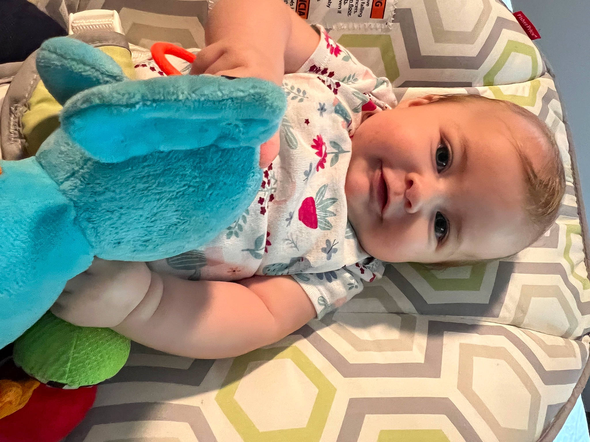 Magnolia is registered to the contest to win money with this photo: baby, baby_products, baby_sleeping, baby_toddler_clothing, cheek, child, comfort, flooring, fun, green, happy, headgear, joy, linens, pattern, person, product, skin, sleeve, smile