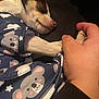 animal, bond, closeup, clothing, comfort, cozy, cute, dog, friendship, hand, human, indoor, pajamas, pattern, paw, pet, relaxation, resting, sleeping, small_dog