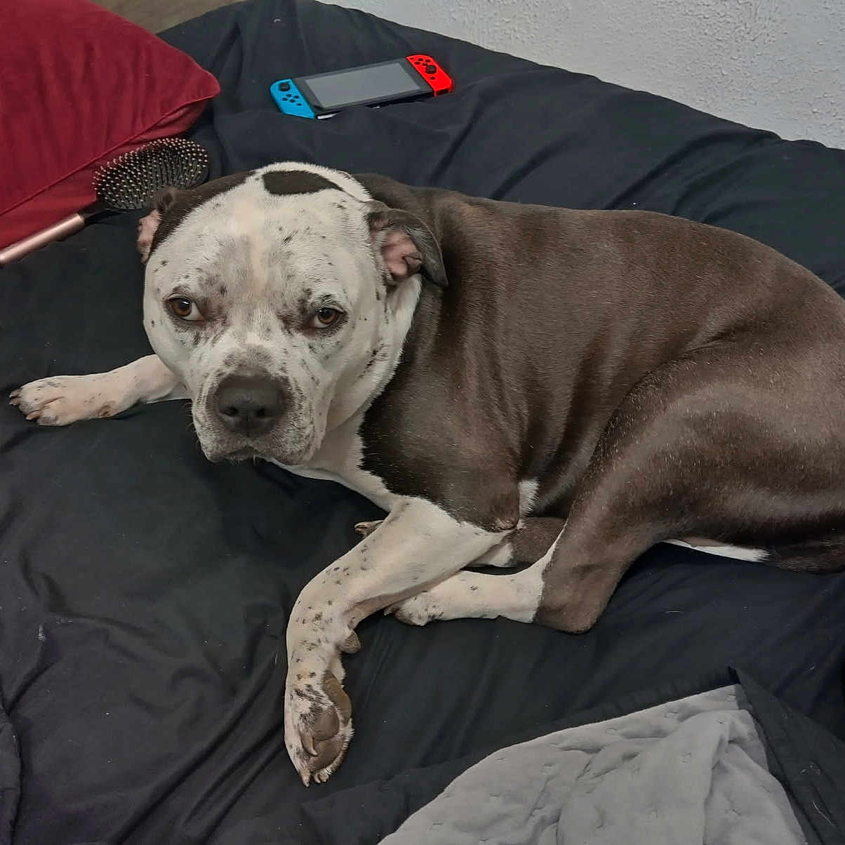 Precious