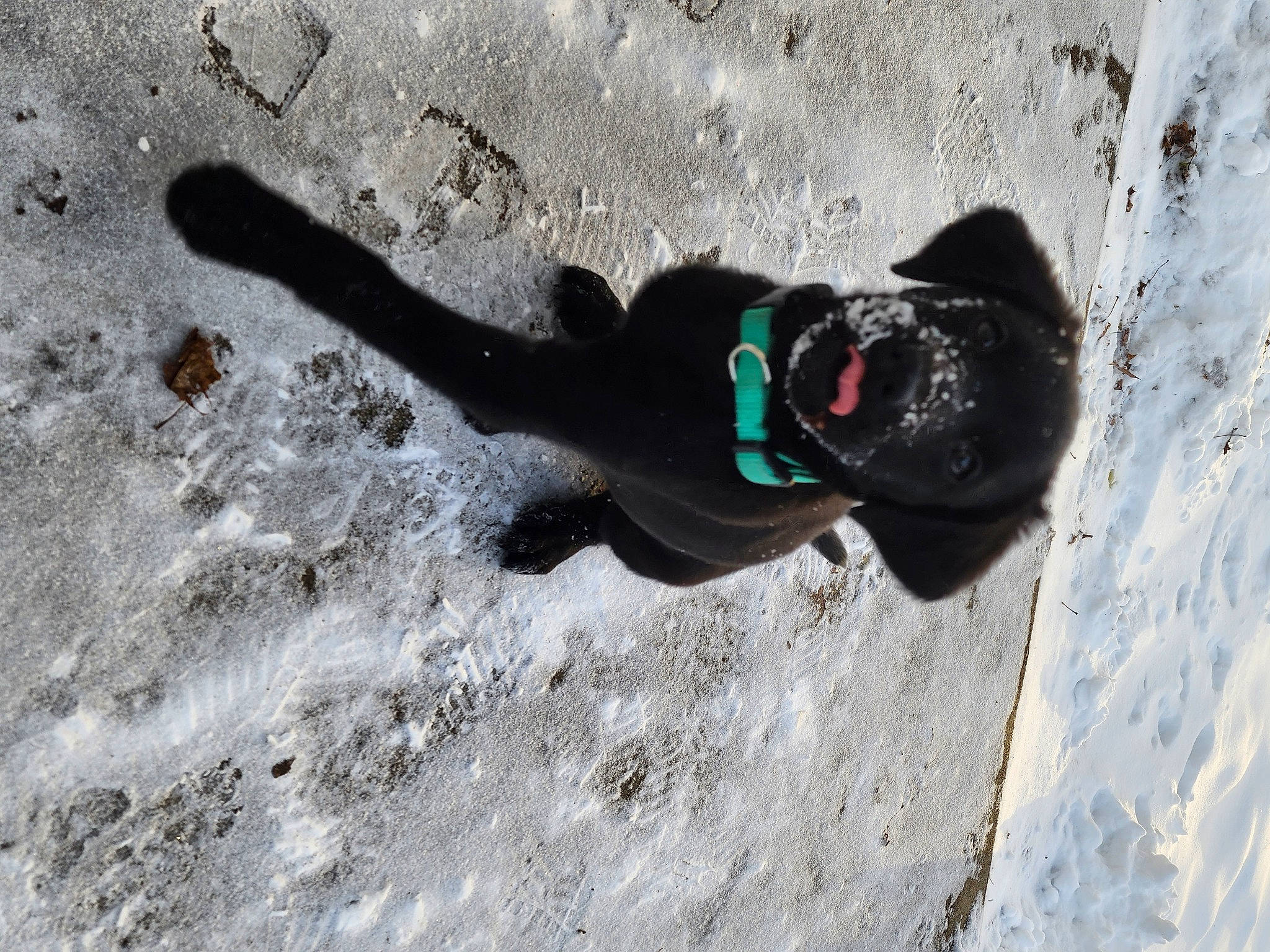 Laney joined the competition — help win amazing prizes! adventure, asphalt, concrete, extreme_sport, eyewear, freezing, fun, geology, glove, grey, landscape, leisure, personal_protective_equipment, recreation, sand, shadow, slope, snow, soil, winter