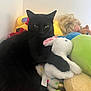 animal, black_cat, cat, colorful, companion, corner, cozy, cuddling, cute, fur, home, indoor, pet, plush_toy, relaxed, resting, soft, stuffed_animal, toy_collection, white_bunny