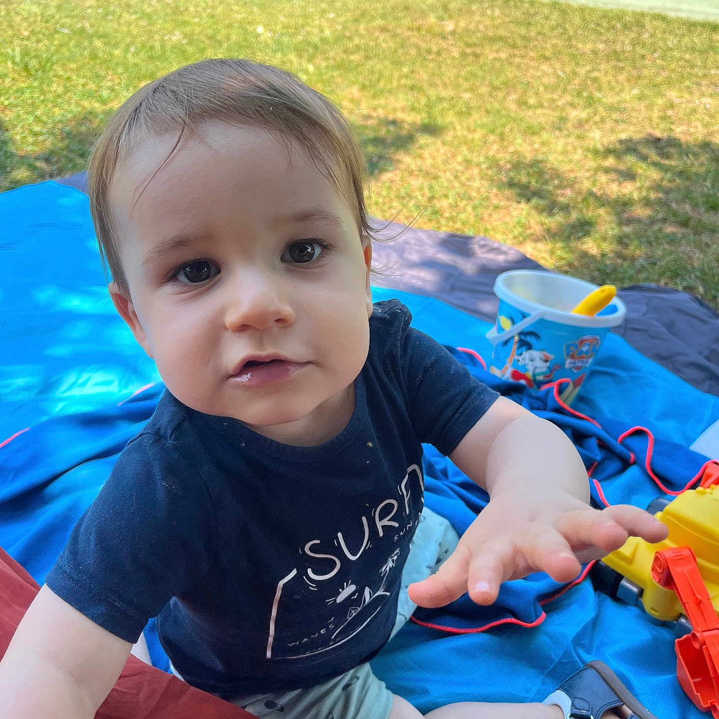 Elio a rejoint le concours — aidez-le/la à gagner de superbes lots ! blanket, bucket, child, cute, eyes, face, grass, hair, hand, nature, outdoor, park, playing, shoes, shorts, summer, sunlight, toddler, toy, tshirt