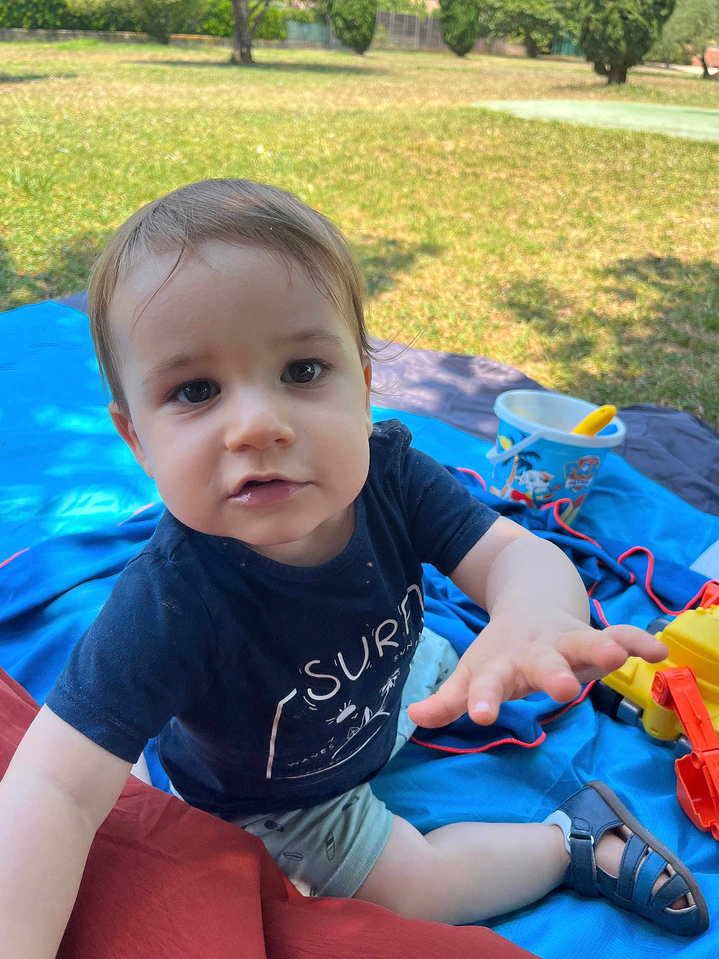Elio a rejoint le concours — aidez-le/la à gagner de superbes lots ! child, toddler, outdoor, grass, blanket, toy, bucket, shoes, shorts, tshirt, hand, face, eyes, hair, park, sunlight, nature, playing, summer, cute