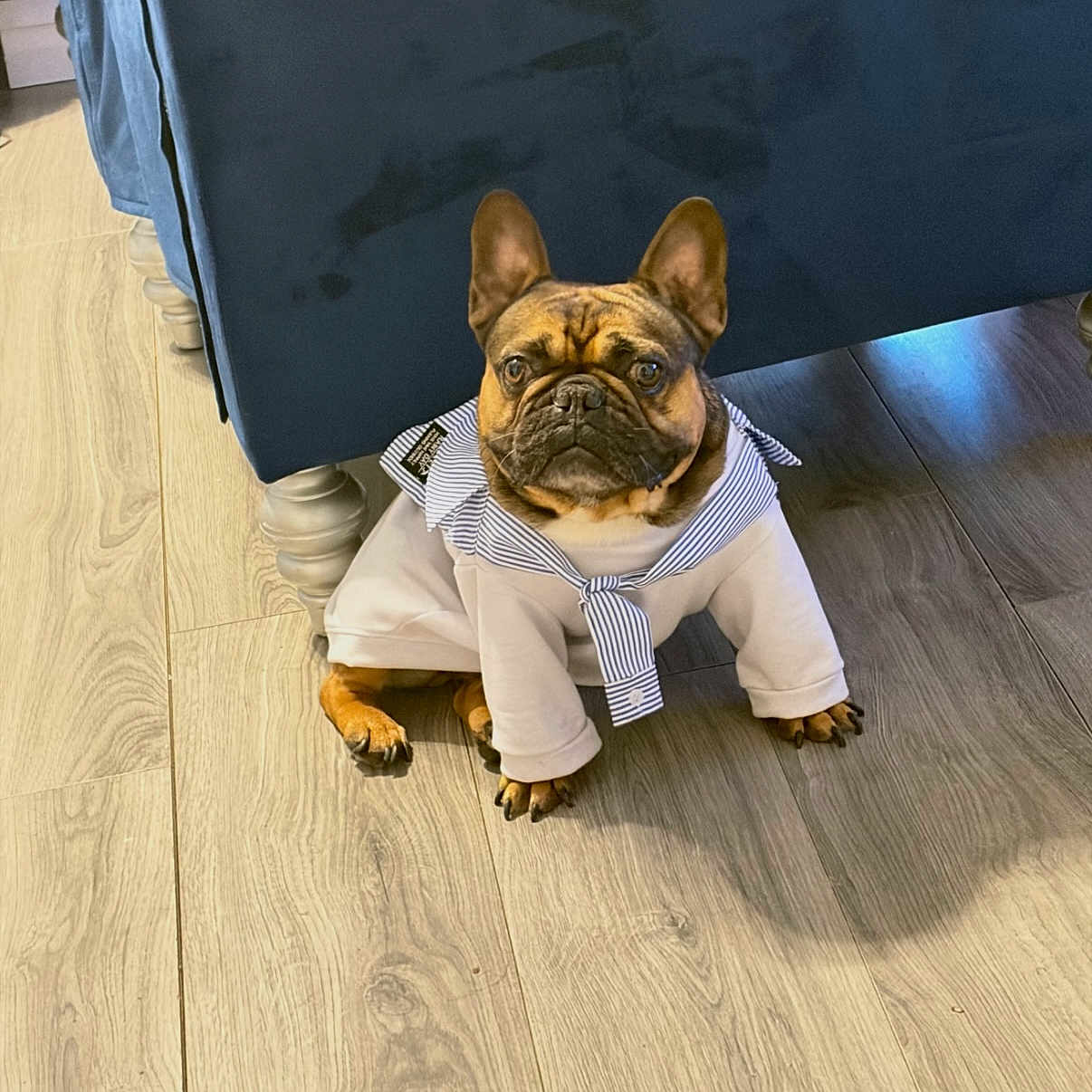 Hugo