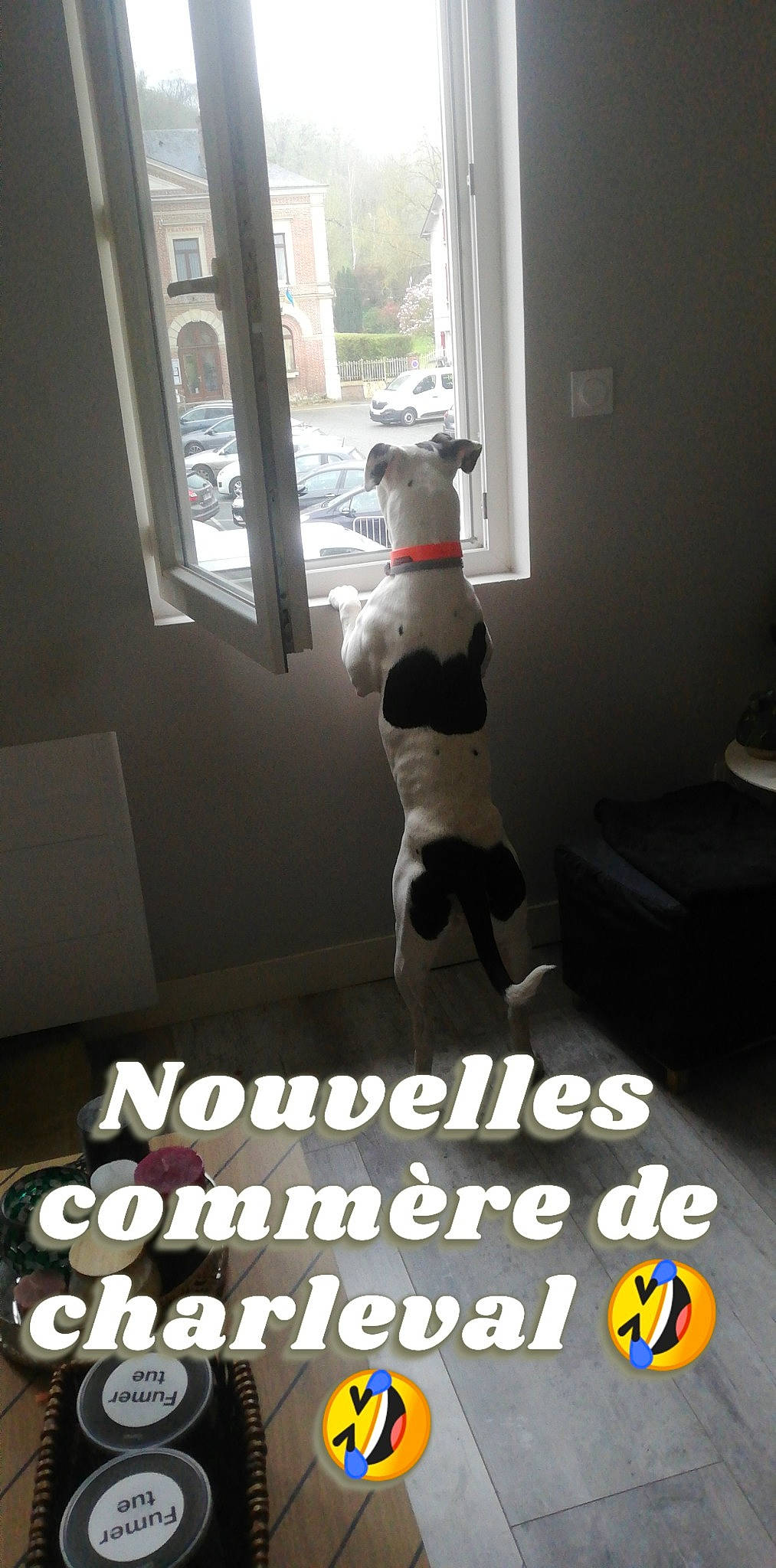 Sila participe au concours pour gagner de l'argent avec cette photo : art, carmine, chair, floor, flooring, font, house, human_leg, interior_design, light, living_room, room, sash_window, sportswear, stuffed_toy, table, thigh, toy, window, wood