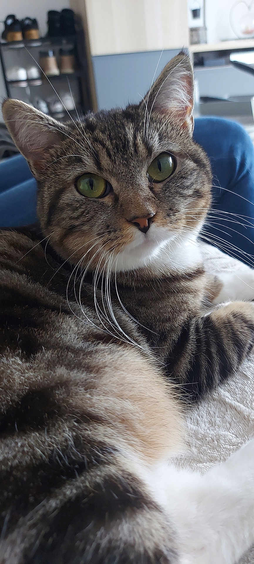 Rita