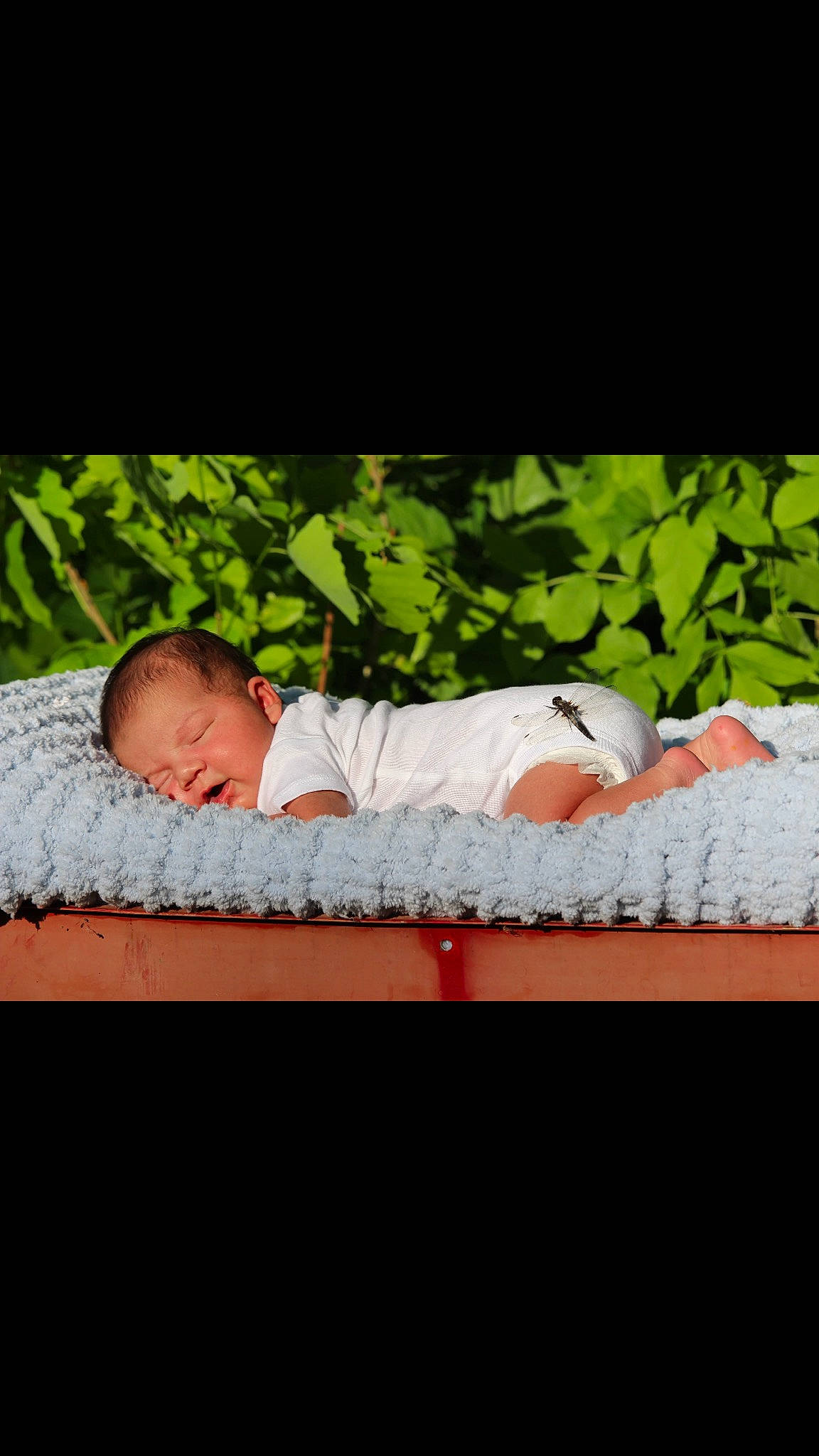 Elijah joined the competition — help win amazing prizes! baby, child, grass, nap, person, photograph, photography, product, sleep