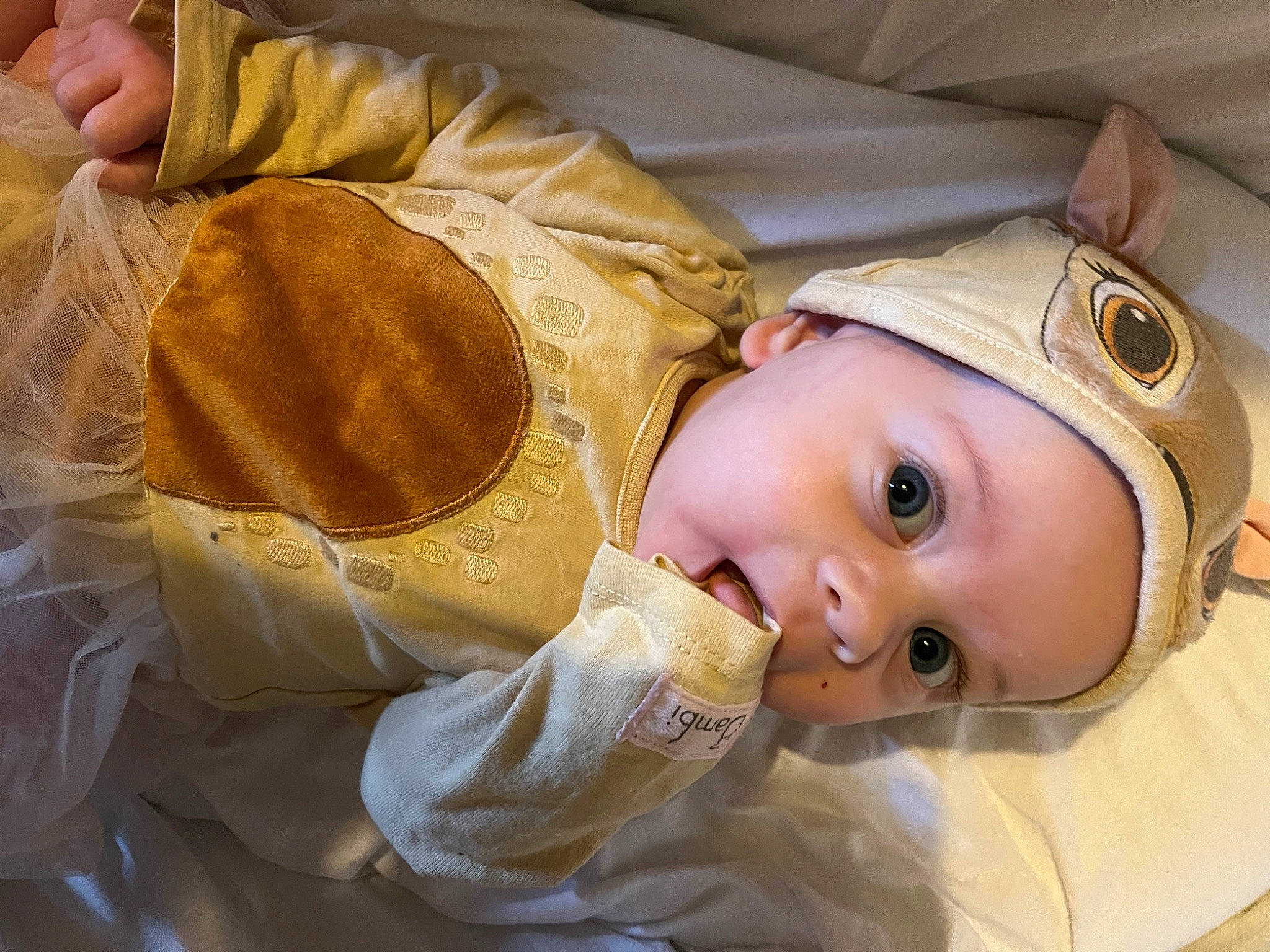 Olivia-mae is registered to the contest to win money with this photo: baby, baby_toddler_clothing, cheek, child, comfort, ear, eye, eyelash, happy, hat, headwear, linens, person, room, skin, sleeve, textile, toddler, wood