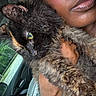 animal, car_interior, cat, close_up, face, feline, fur, green_eyes, hand, holding, lips, natural_light, nature_outside, person, pet, portrait, seat, soft_texture, tortoiseshell_cat, window