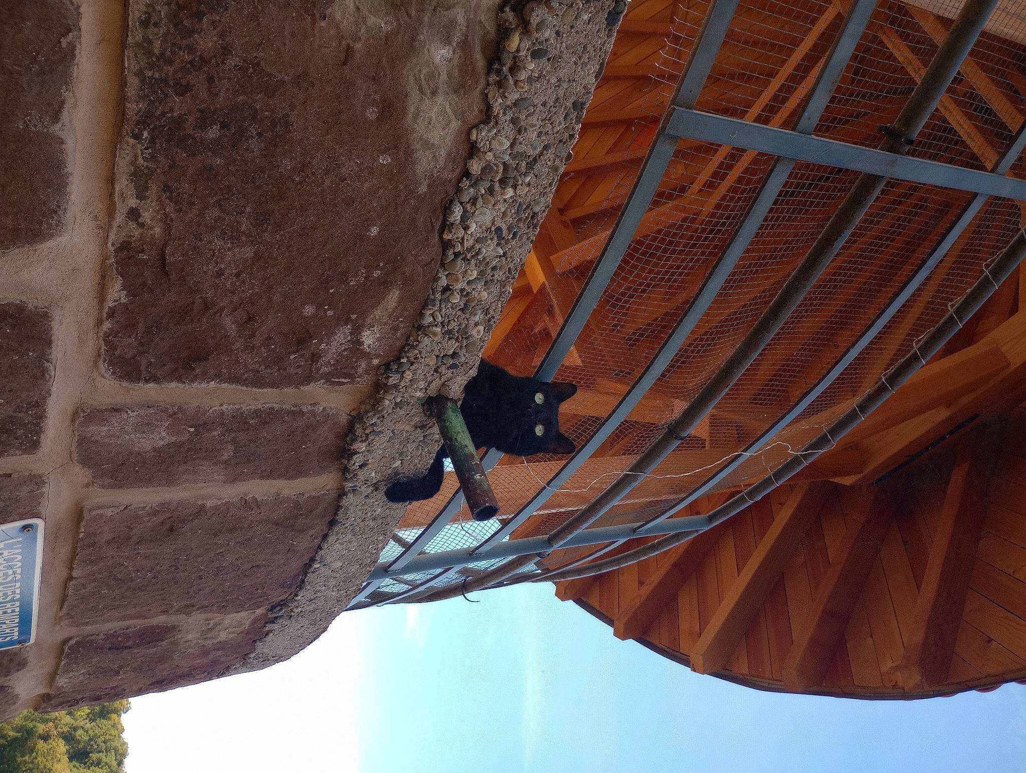 Trucki a rejoint le concours — aidez-le/la à gagner de superbes lots ! adventure, beam, bedrock, ceiling, climbing, climbing_harness, formation, leisure, line, outdoor_shoe, recreation, rock, rock_climbing, rock_climbing_equipment, rope, rope_rhythmic_gymnastics, sky, sport_climbing, trunk, wood