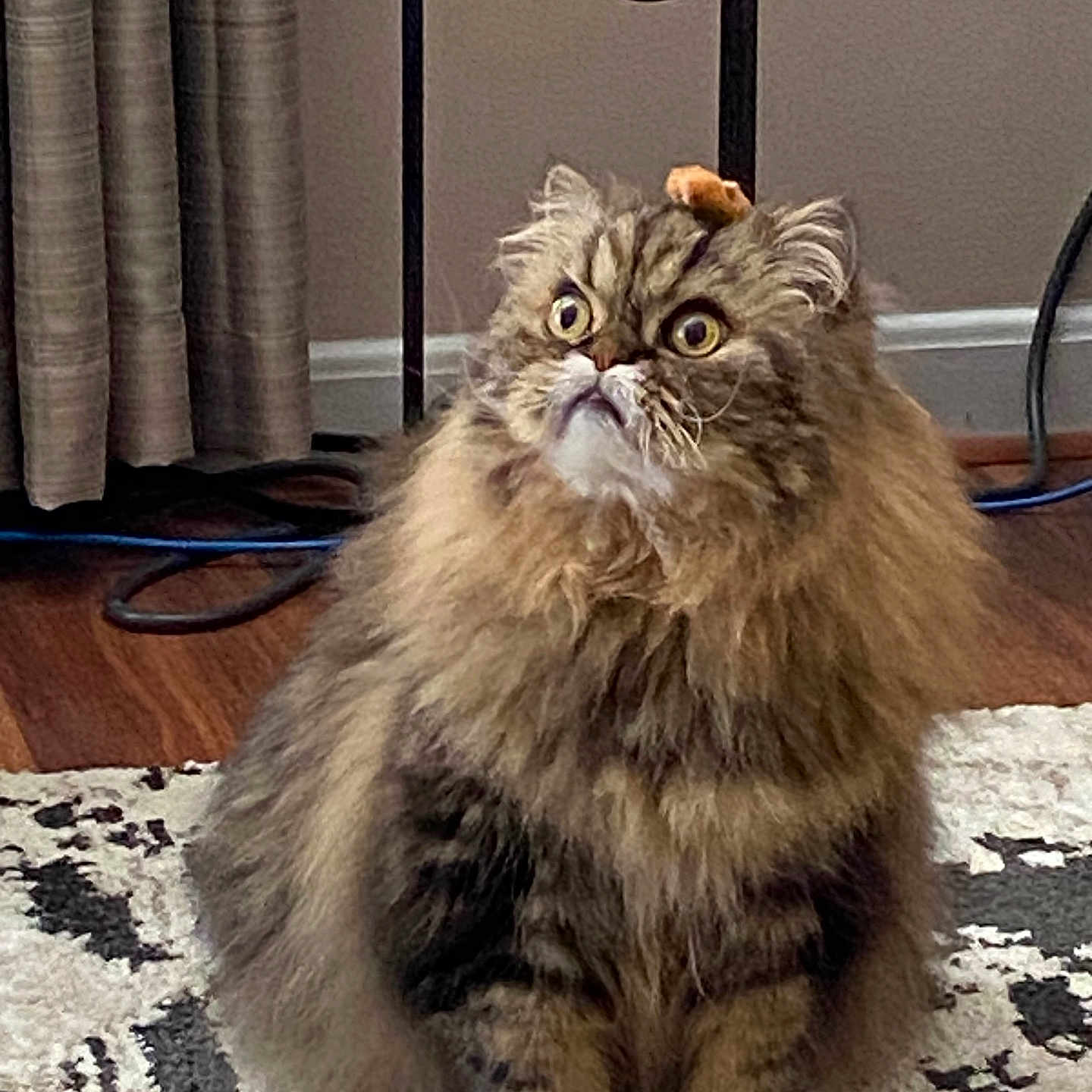Milo