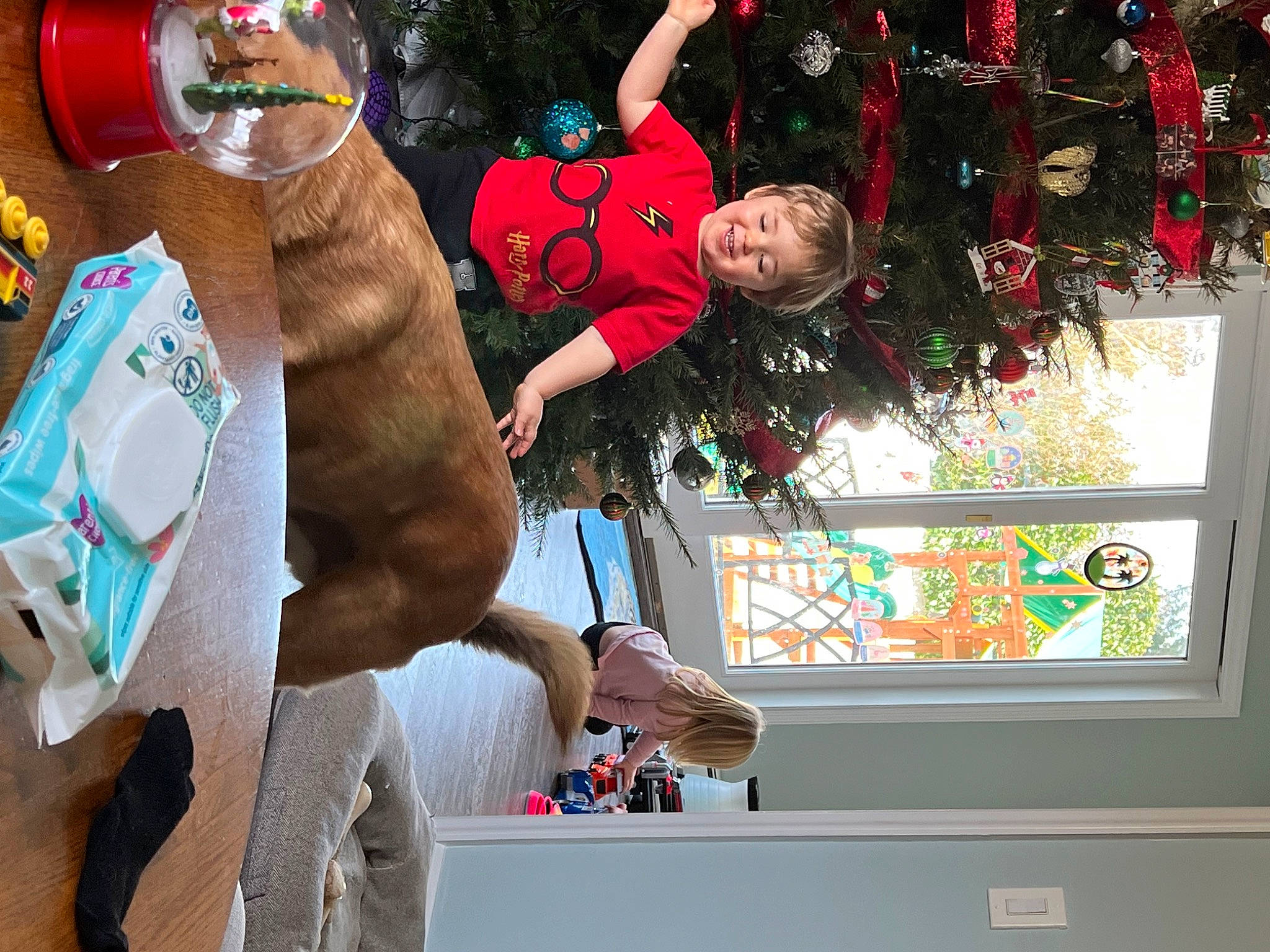 Richard joined the competition — help win amazing prizes! bridle, child, christmas_ornament, event, fawn, festival, fun, happy, holiday, joy, leisure, magenta, mascot, party_supply, person, pink, recreation, smile, toddler, tradition